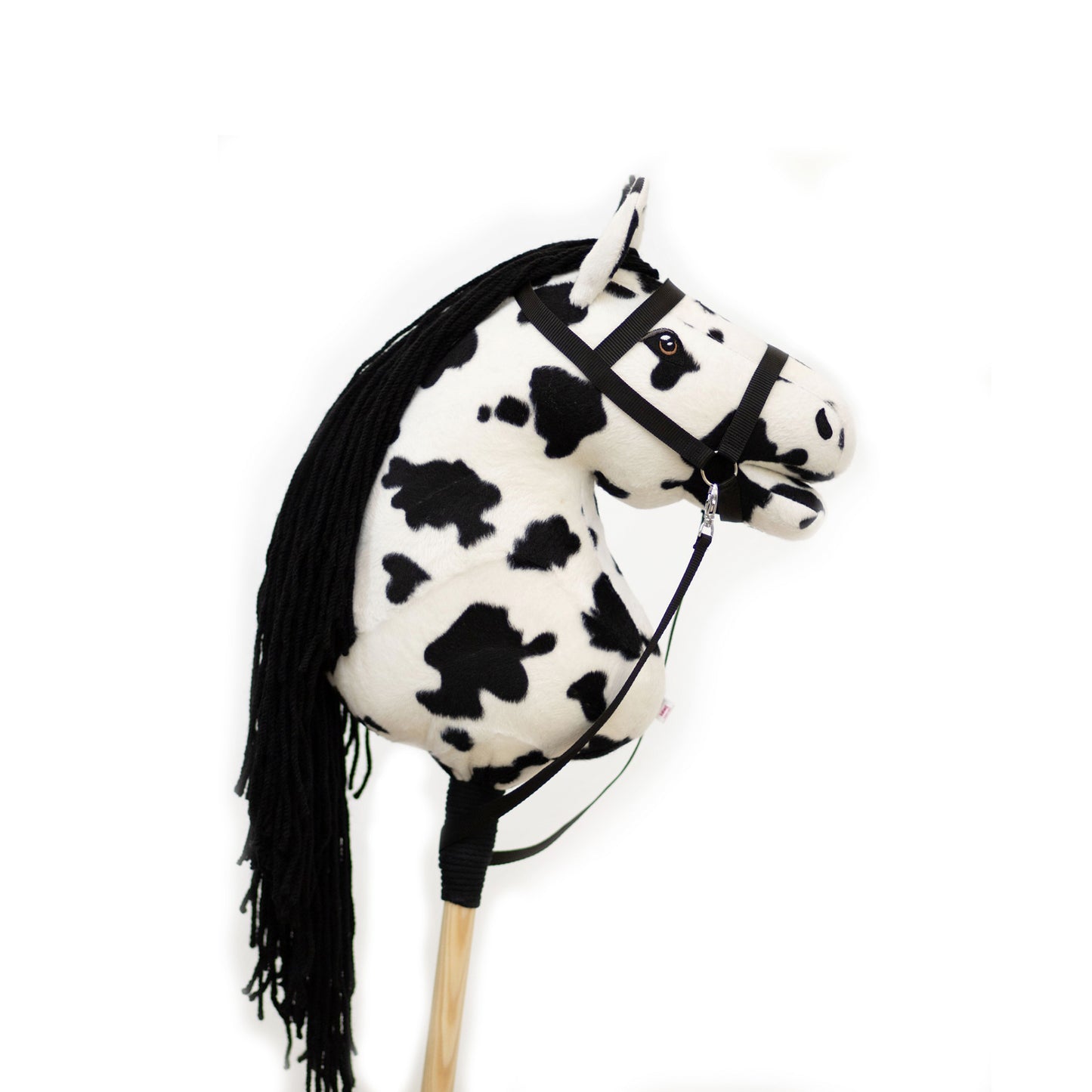 Dakota - Black mane - Adult horse