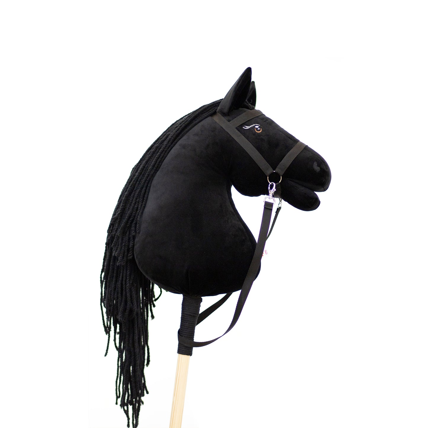 Black Moon - Black mane - Adult horse