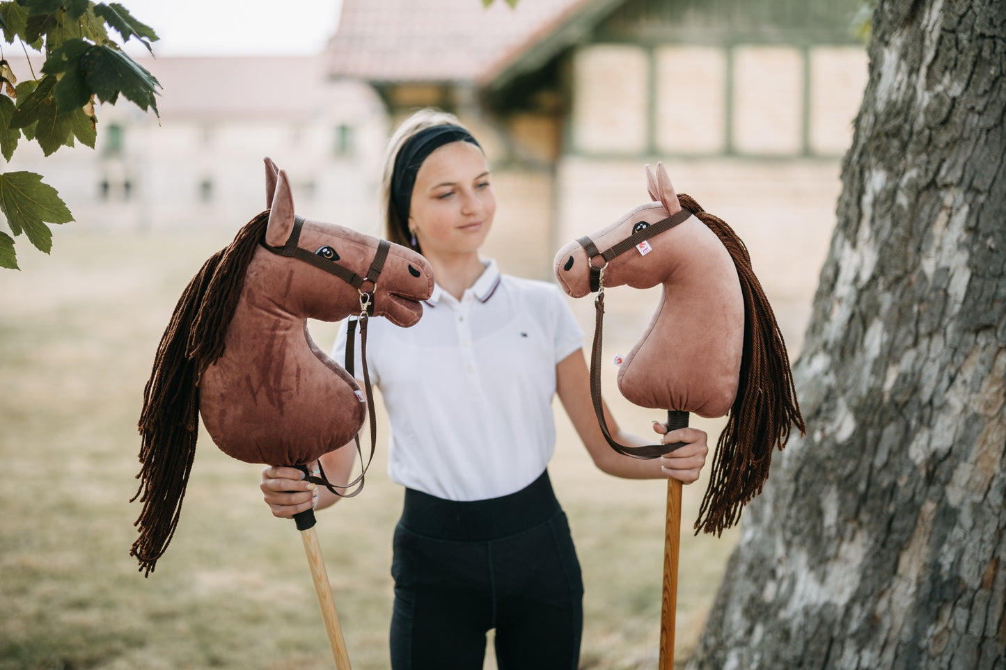 Rosie - Brown mane - Adult horse