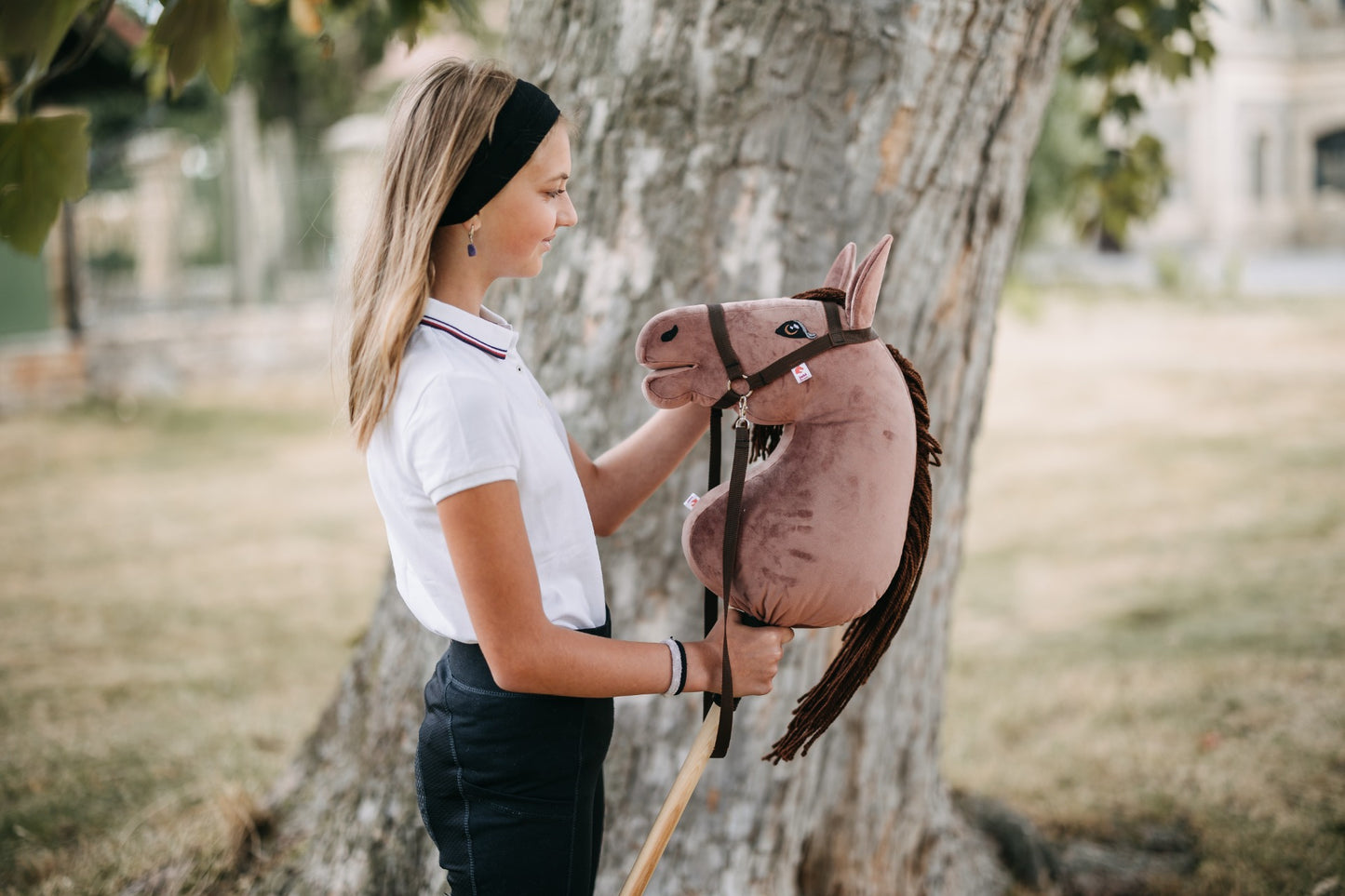 Rosie - Brown mane - Adult horse