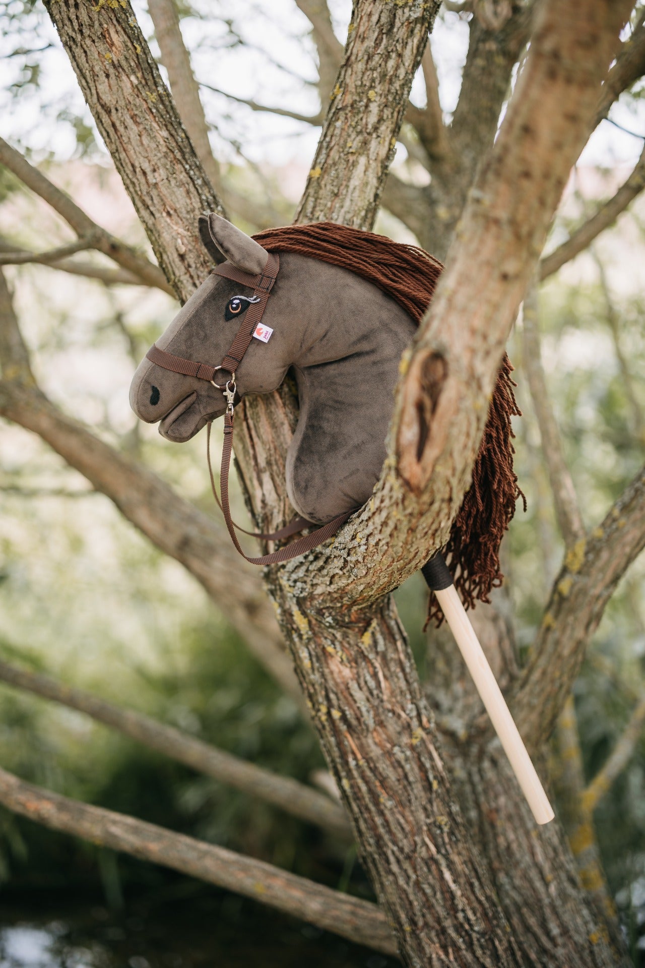 Gizmo - Brown mane - Adult horse