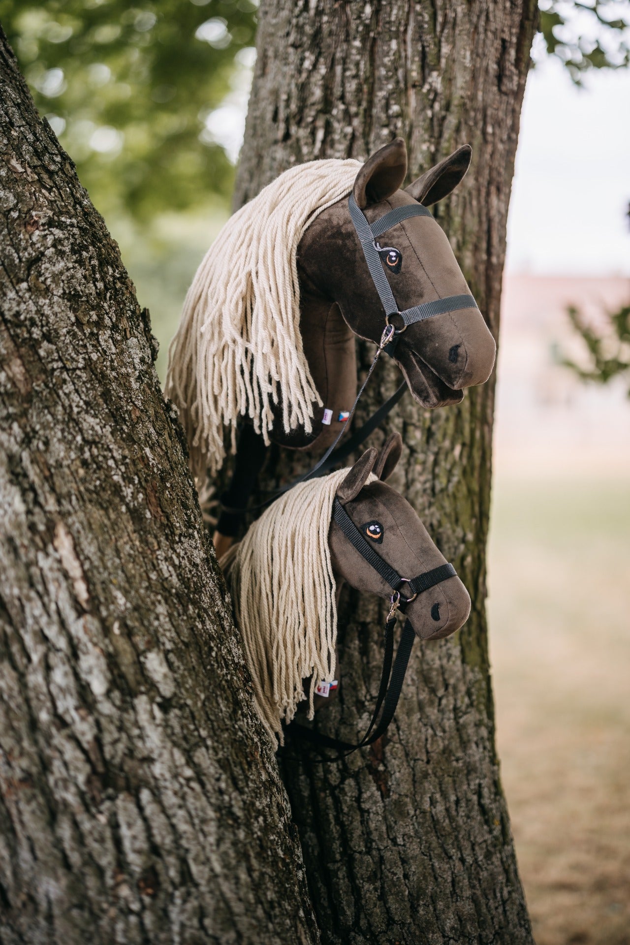 Gizmo - Light mane - Adult horse