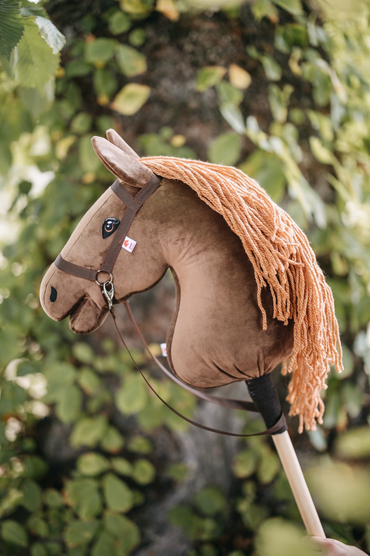 Chelsea - Light mane - Adult horse