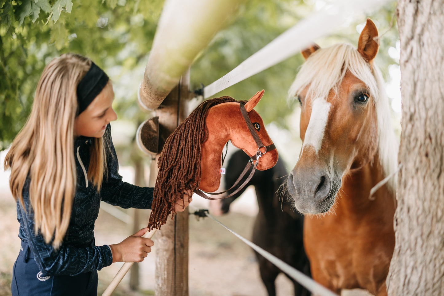 Terra - Dark brown mane - Foal