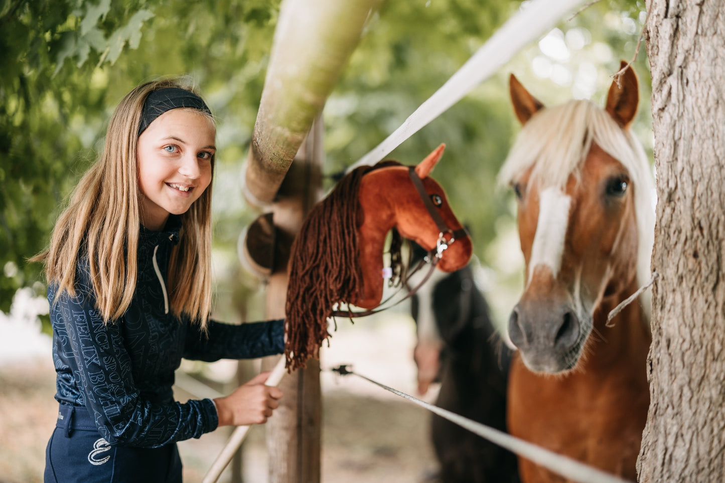 Terra - Dark brown mane - Adult horse
