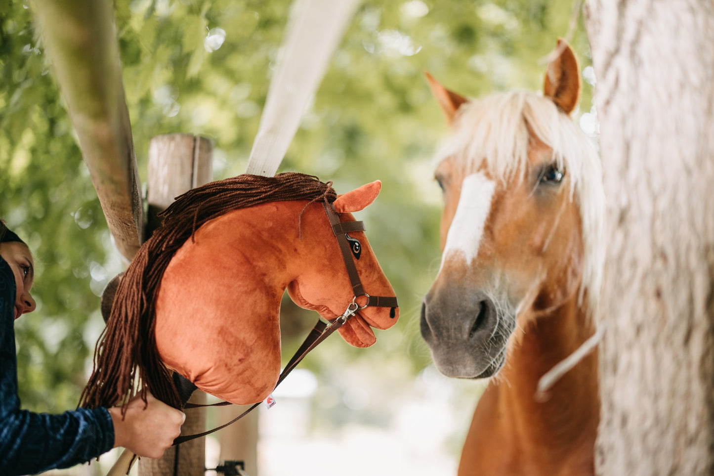 Terra - Dark brown mane - Adult horse