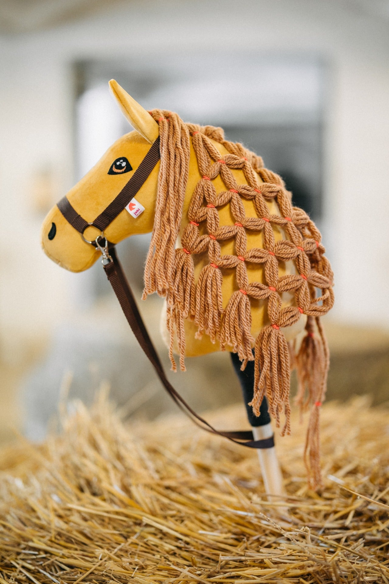 Senf - Light mane - Foal