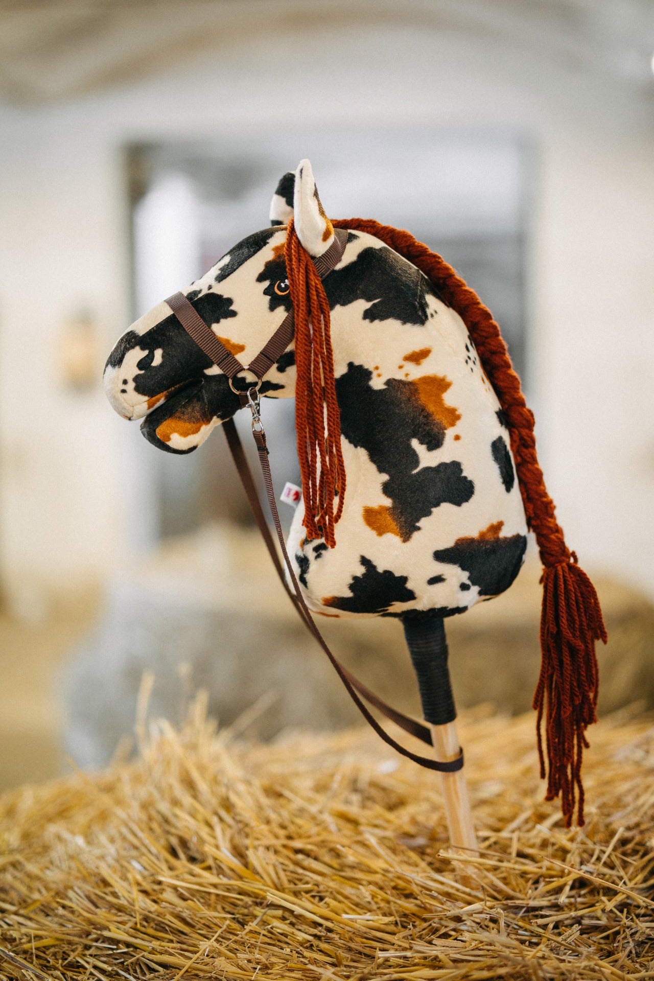 Monty - Red mane - Adult horse