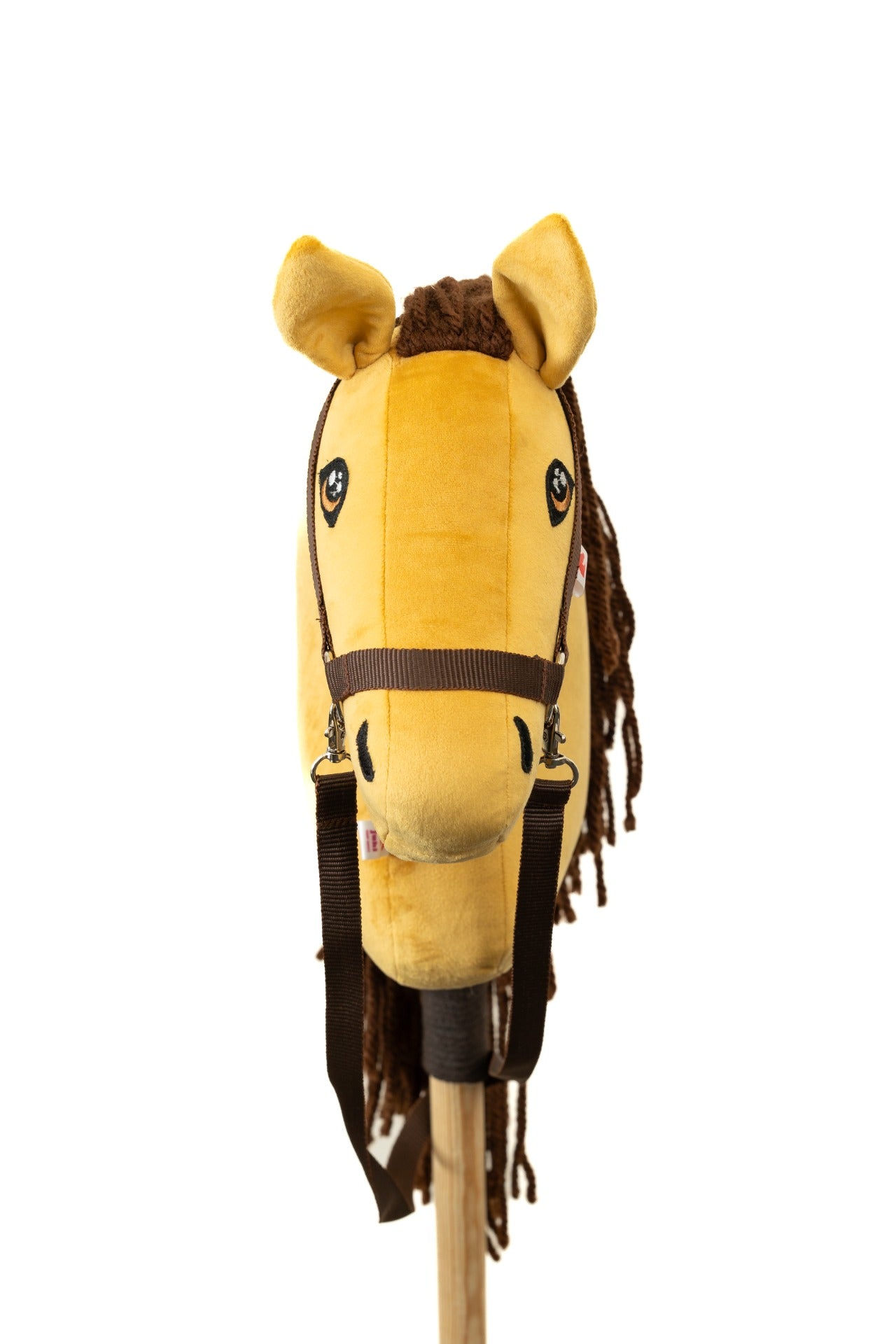 Senf - Brown mane - Foal