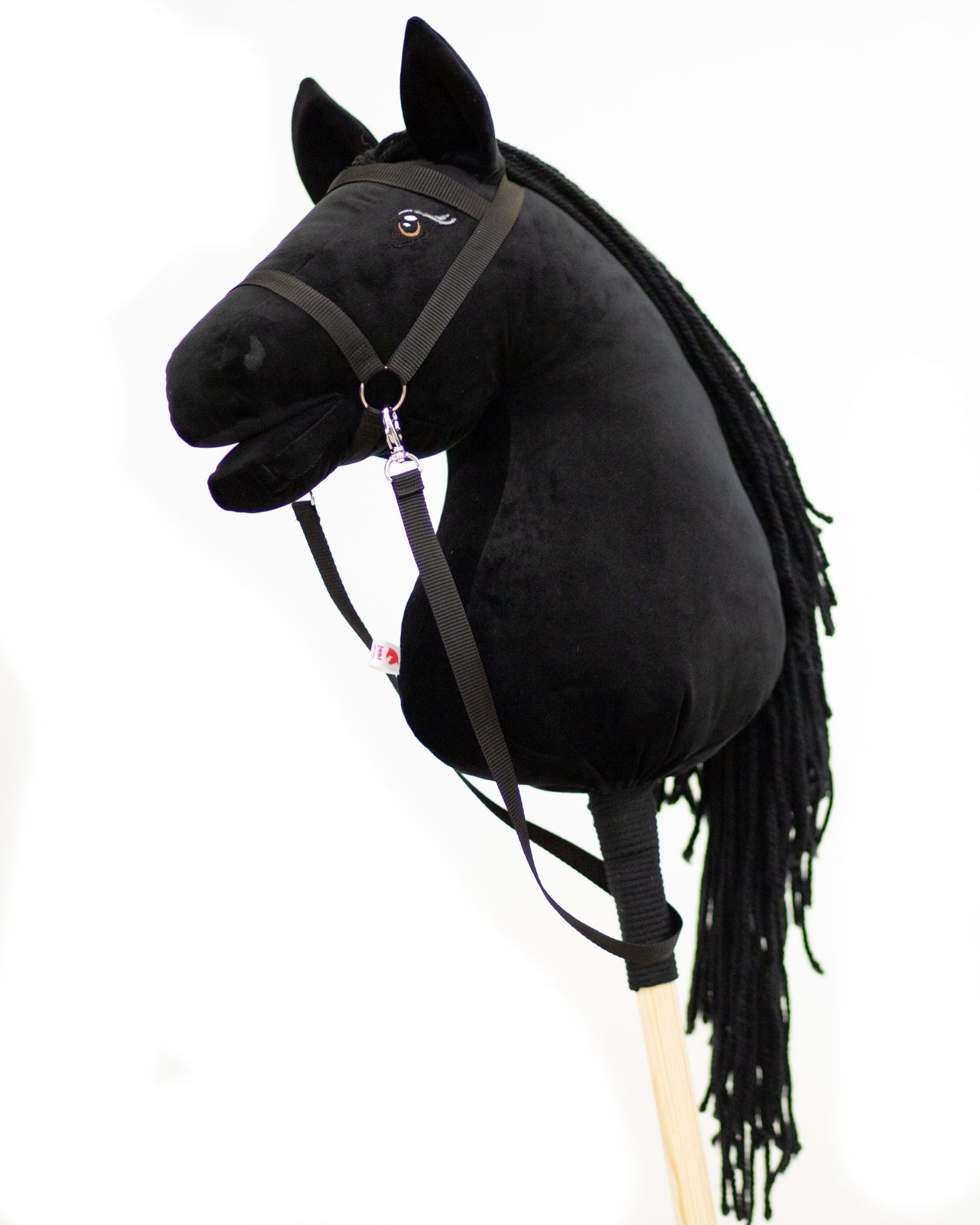 Black Moon - Black mane - Adult horse