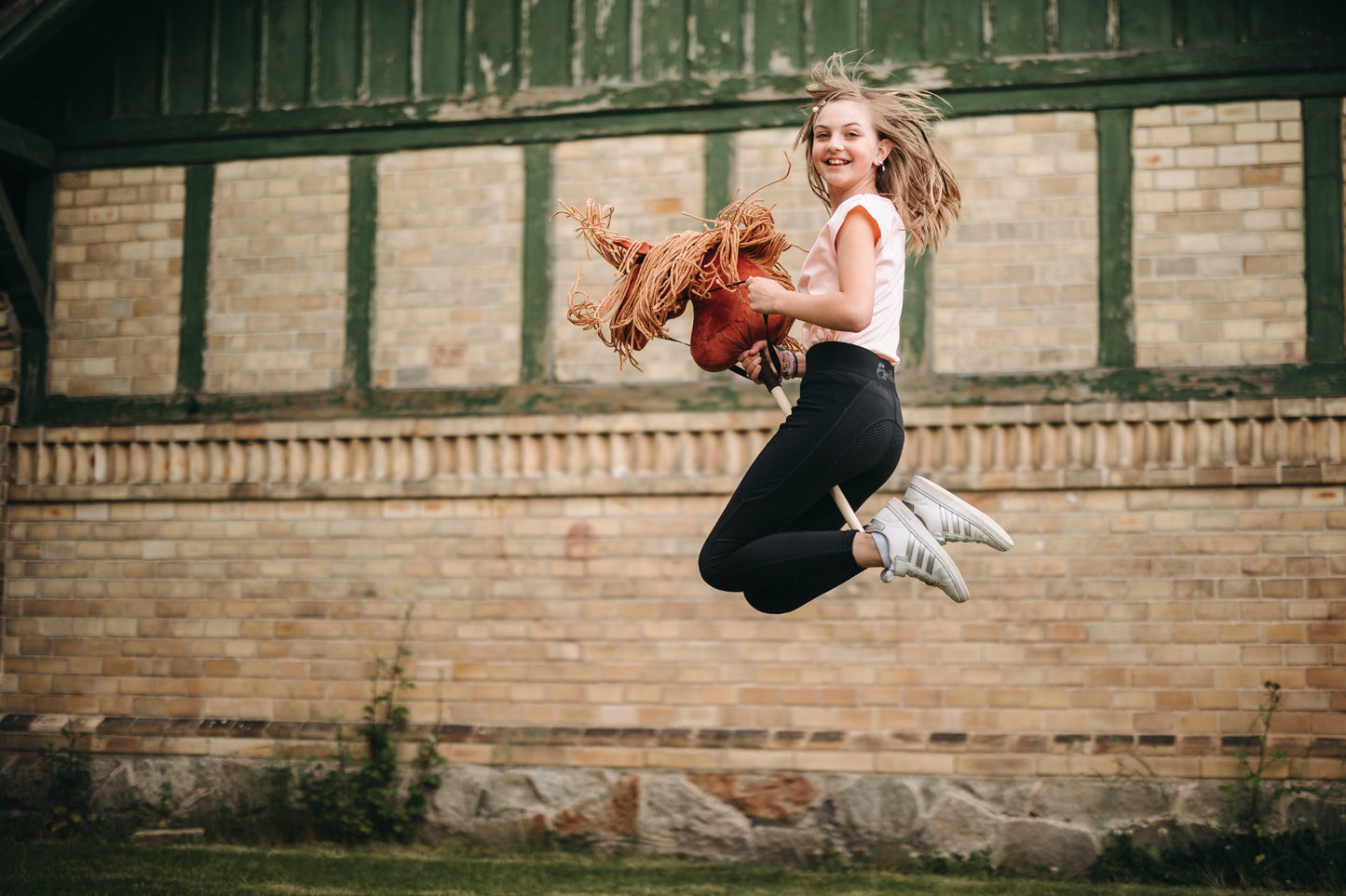 Terra - Light brown mane - Foal