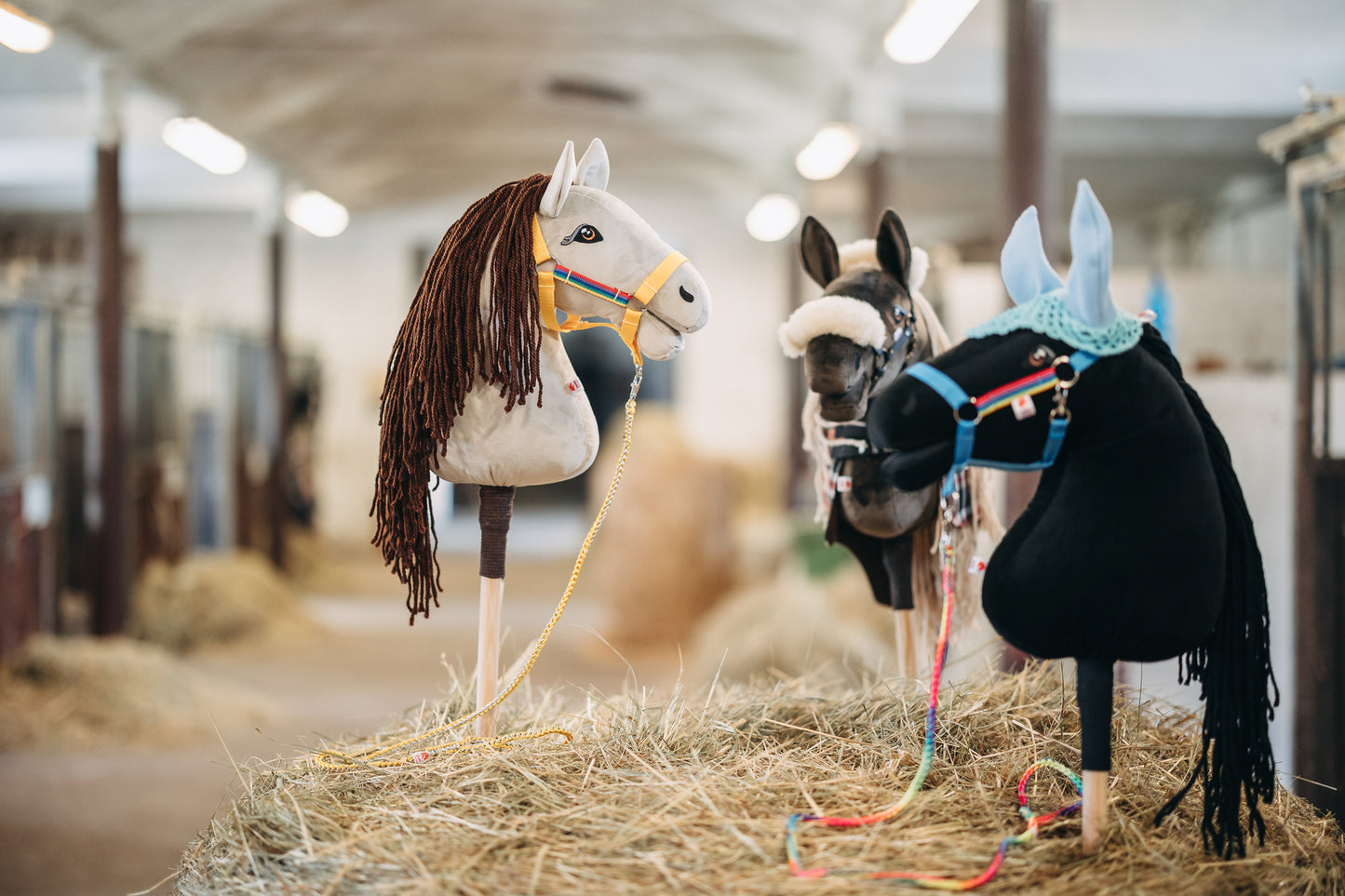 Tailor-made hobby horse