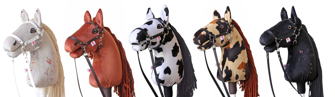 Od snu ke skutečnosti: Trnitá, ale krásná cesta k našemu novému sportovnímu ponymu 🐎✨