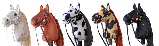 Od snu ke skutečnosti: Trnitá, ale krásná cesta k našemu novému sportovnímu ponymu 🐎✨