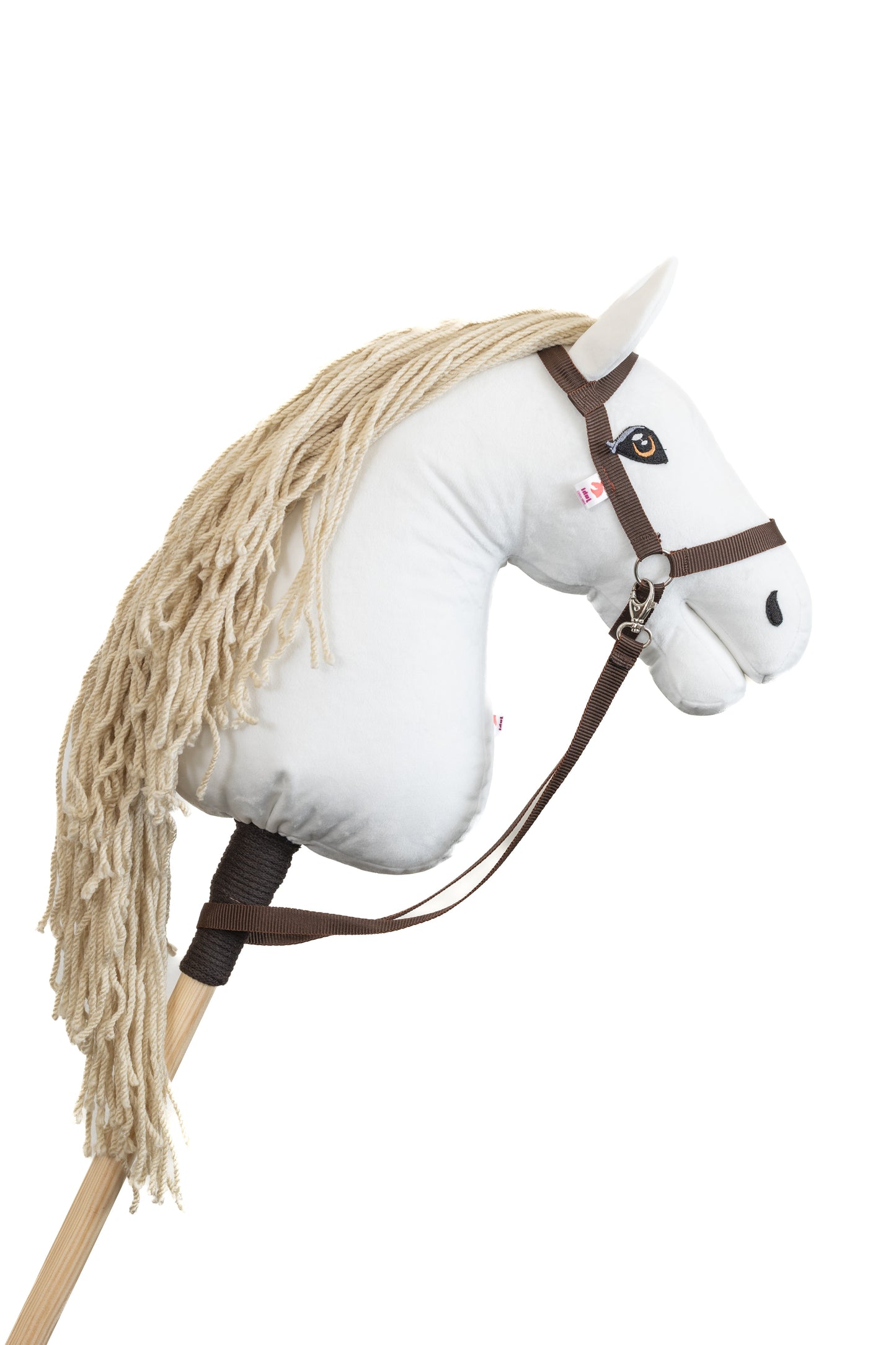 Snow - Natural mane - Adult horse