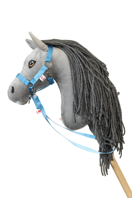 Halter with reins - Blue - Foal