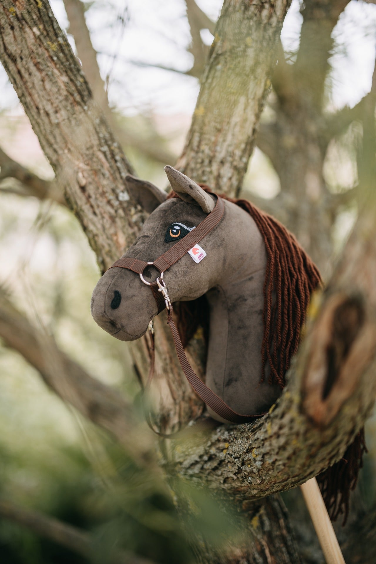 Gizmo - Brown mane - Foal