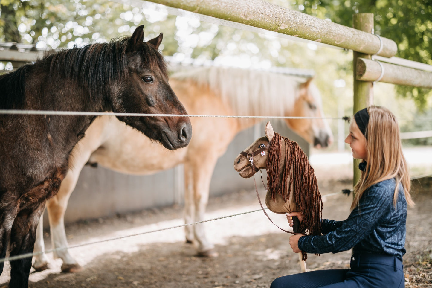 Chelsea - Brown mane - Adult horse