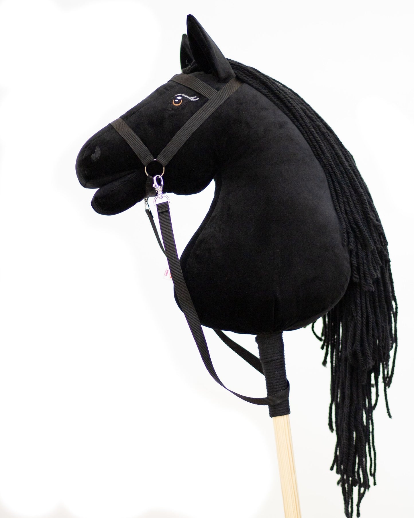 Black Moon - Black mane - Adult horse