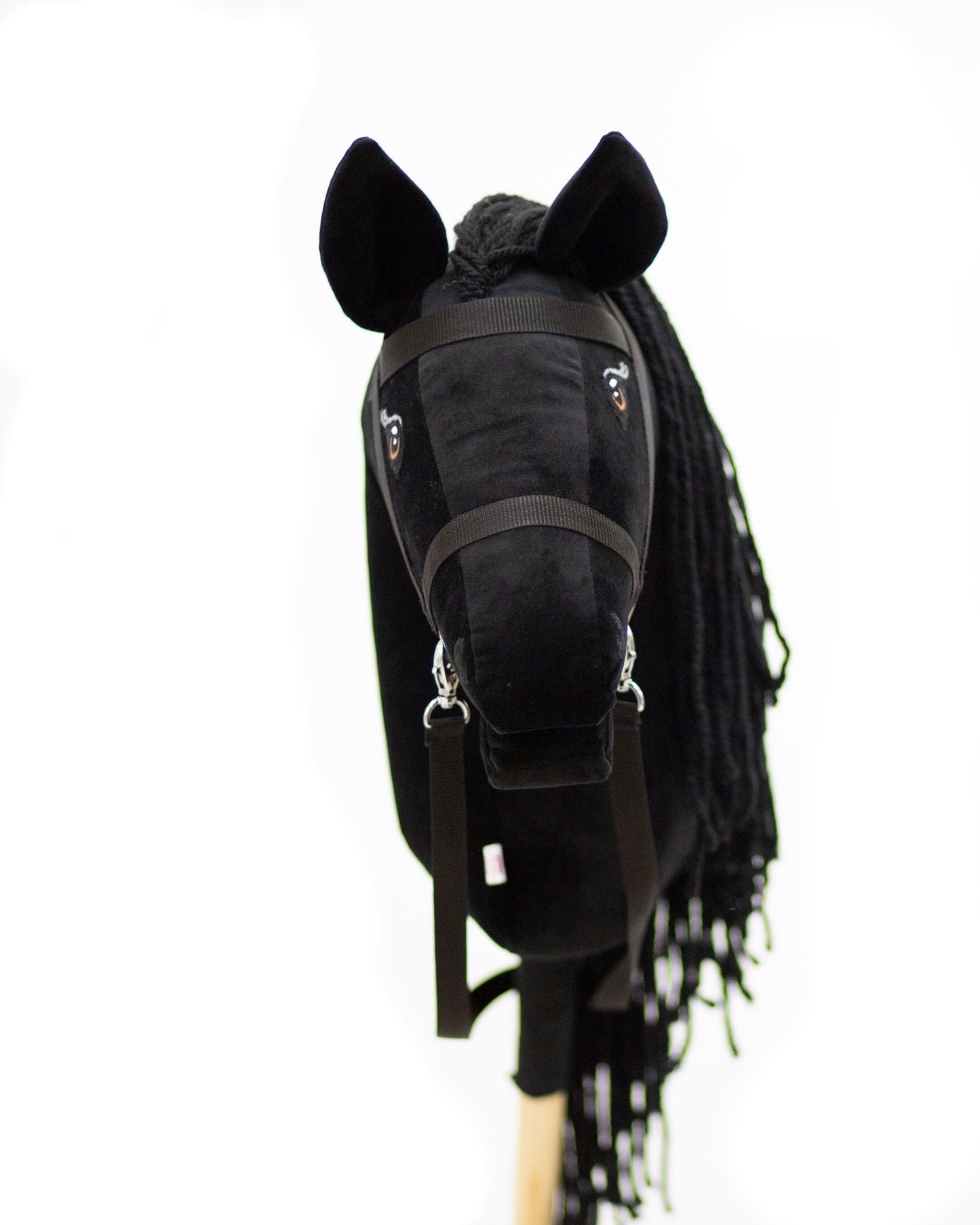 Black Moon - Black mane - Adult horse