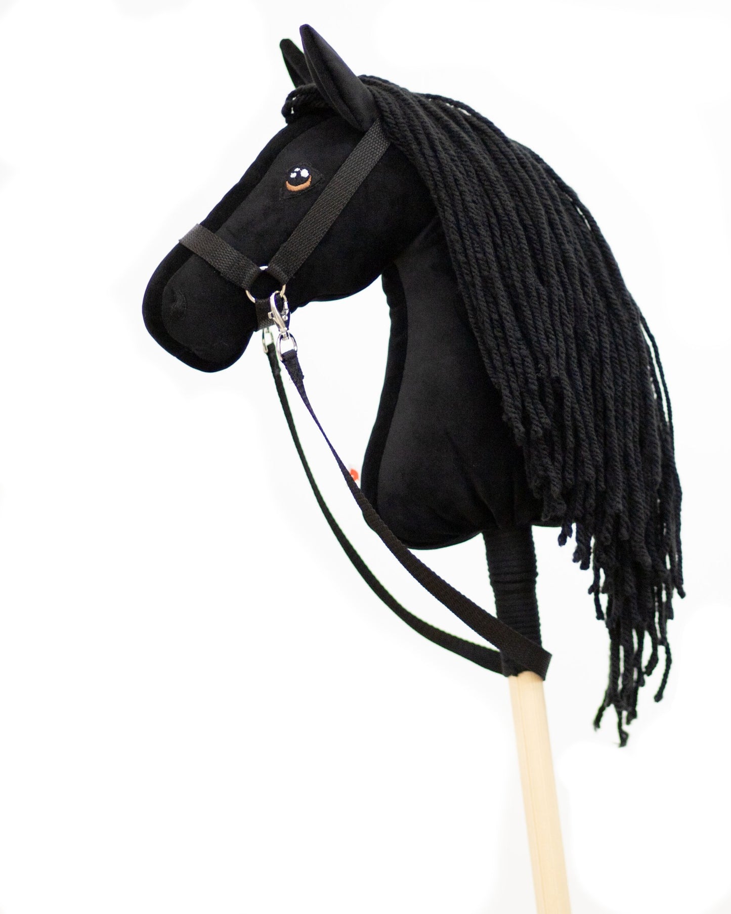 Black Moon - Black mane - Foal