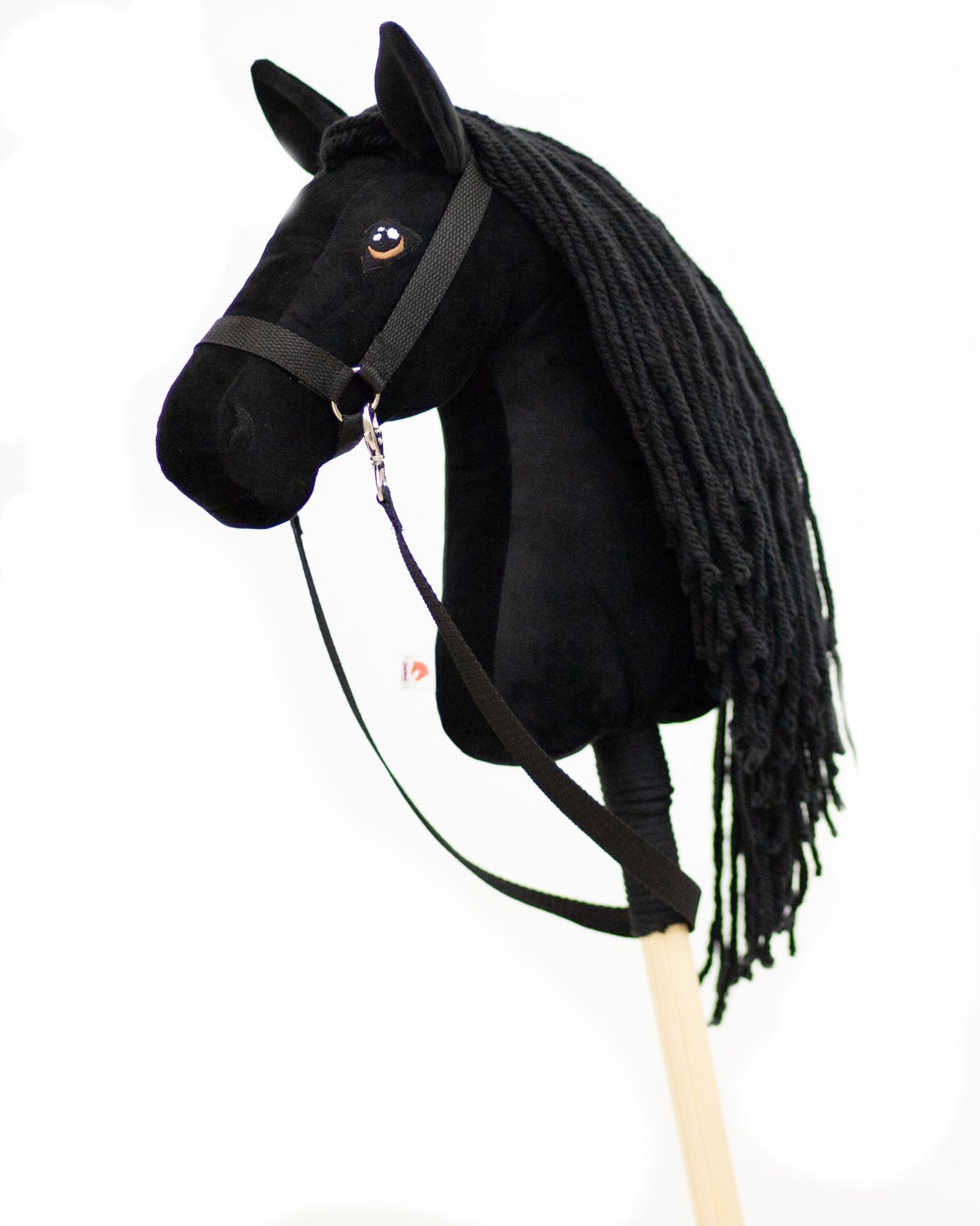 Black Moon - Black mane - Foal