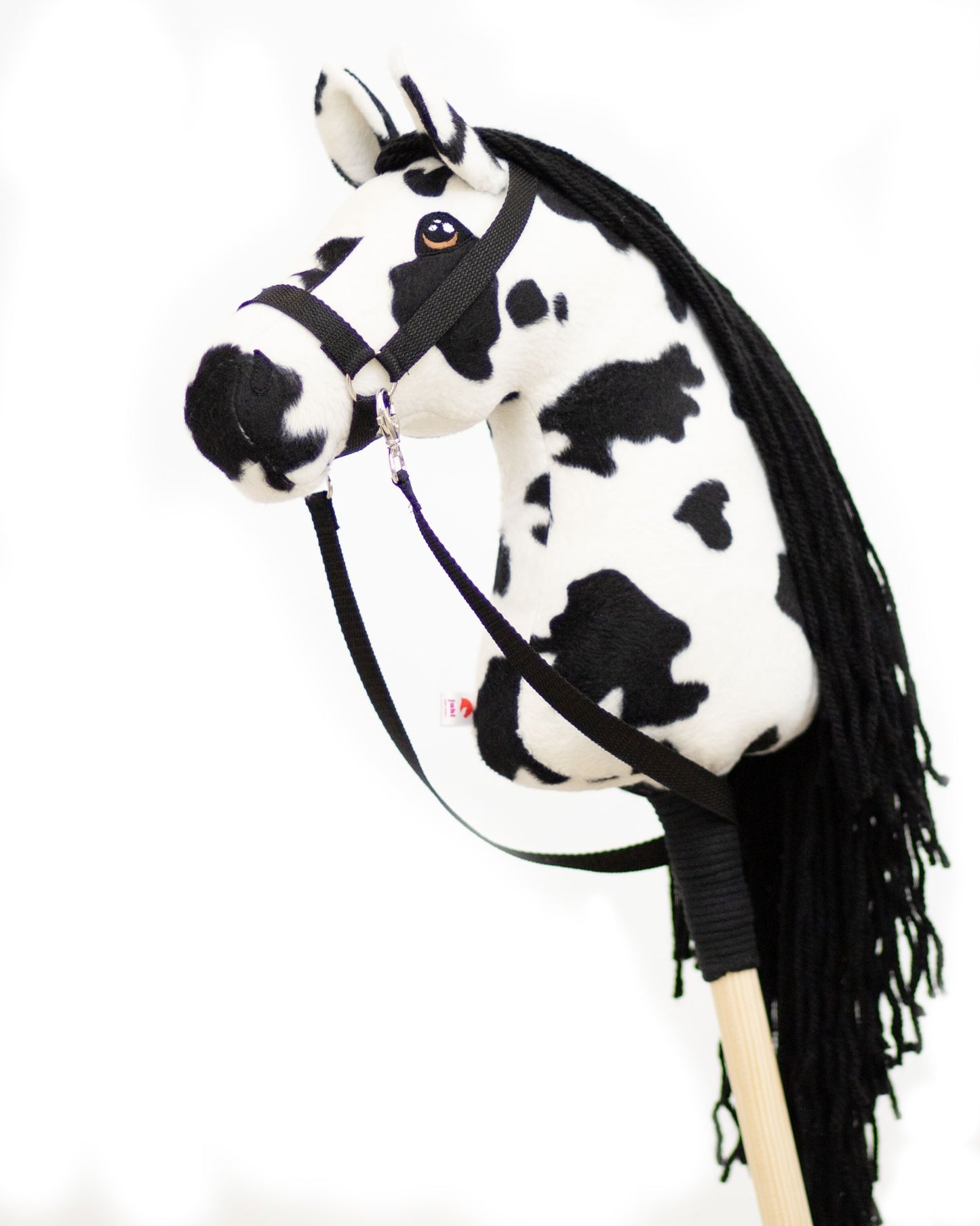 Dakota - Black mane - Foal