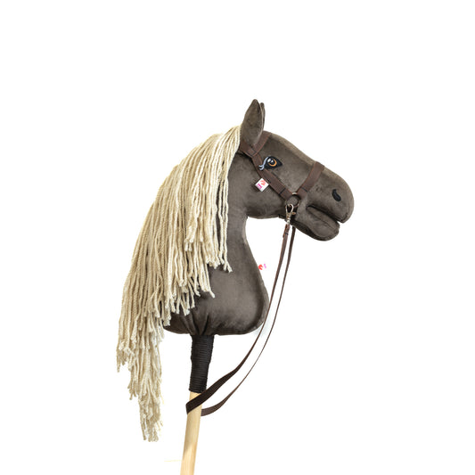Gizmo - Light mane - Adult horse