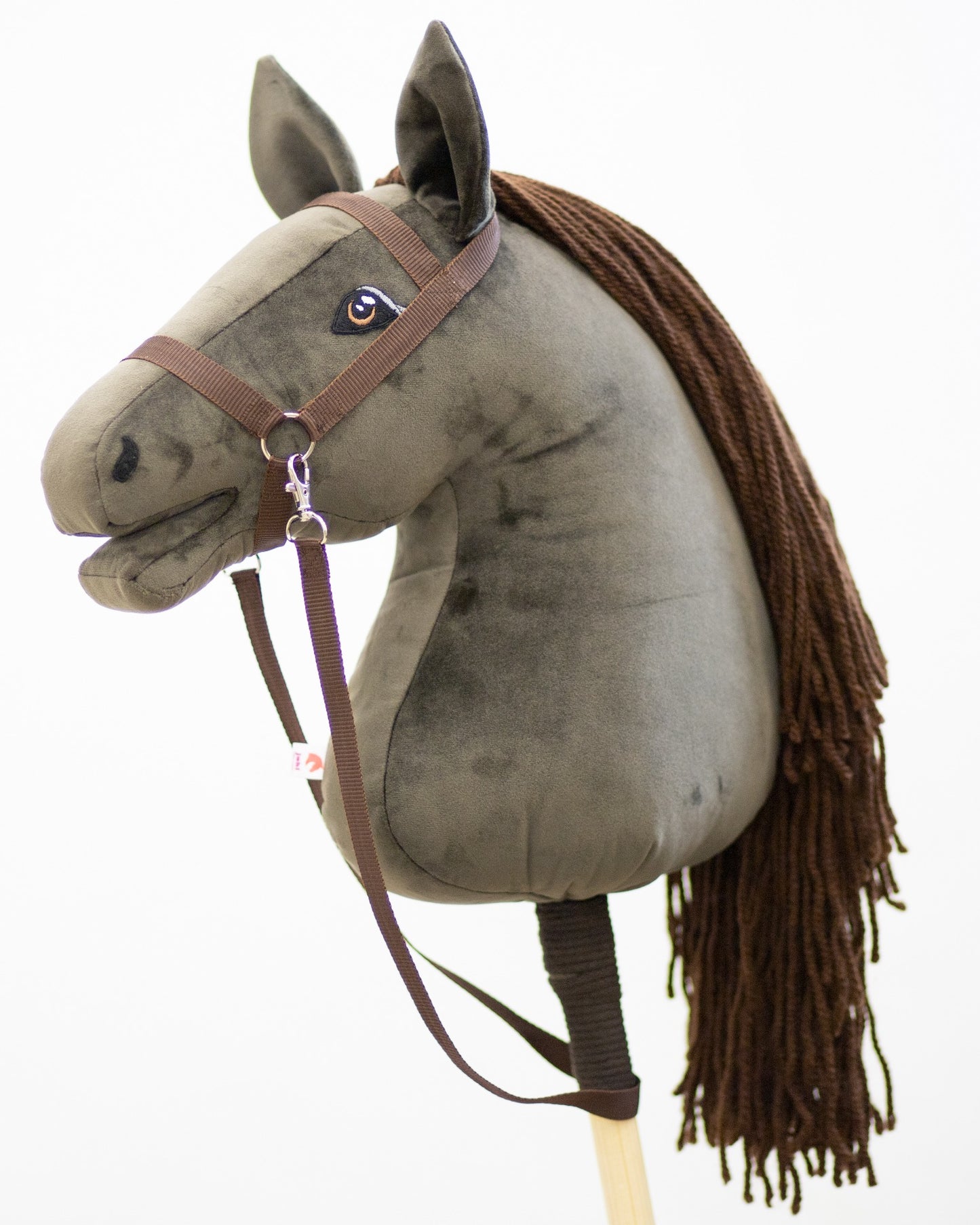 Gizmo - Brown mane - Adult horse