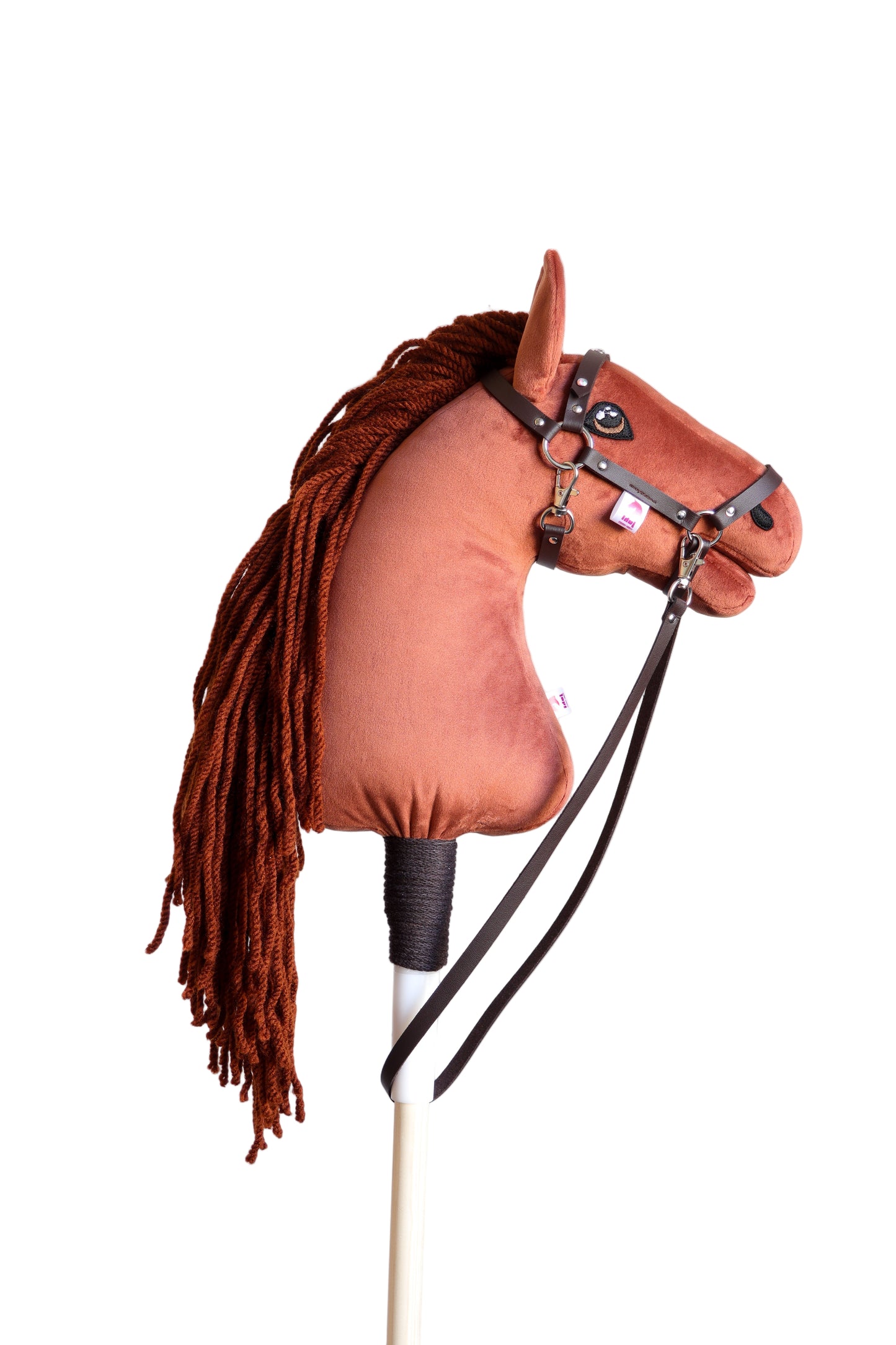 Terra - Red mane - Sport foal