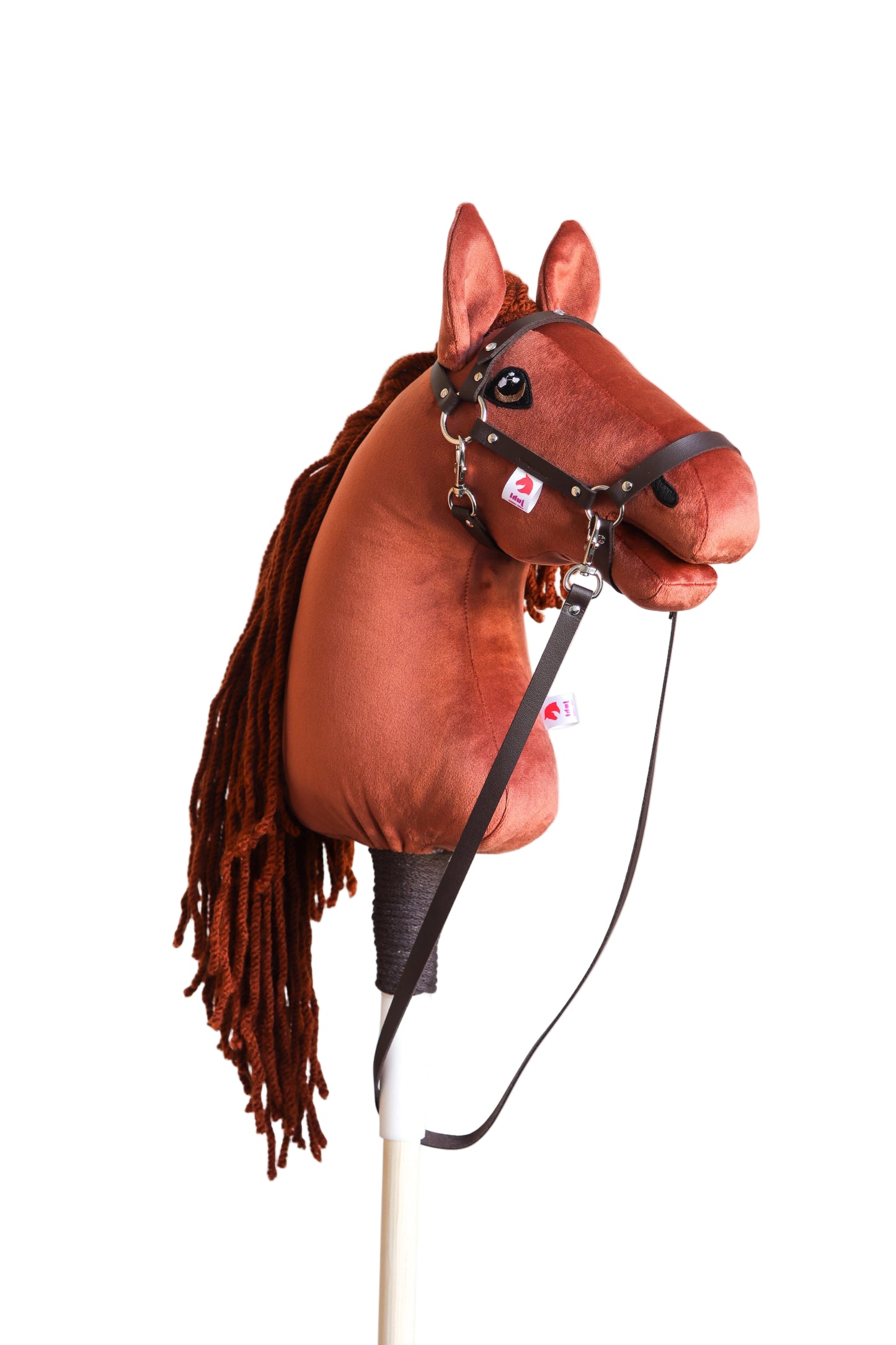 Terra - Red mane - Sport pony