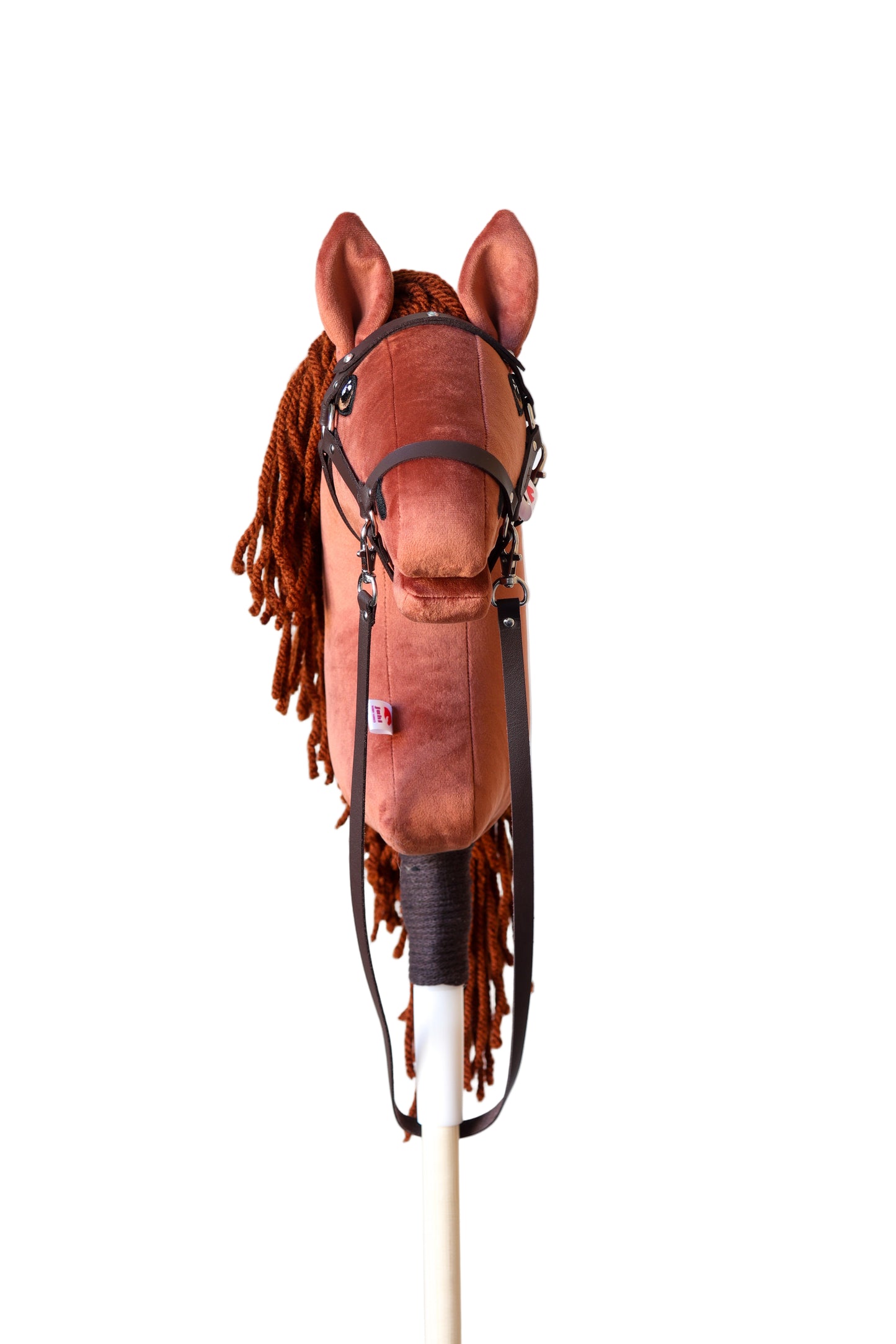 Terra - Red mane - Sport foal