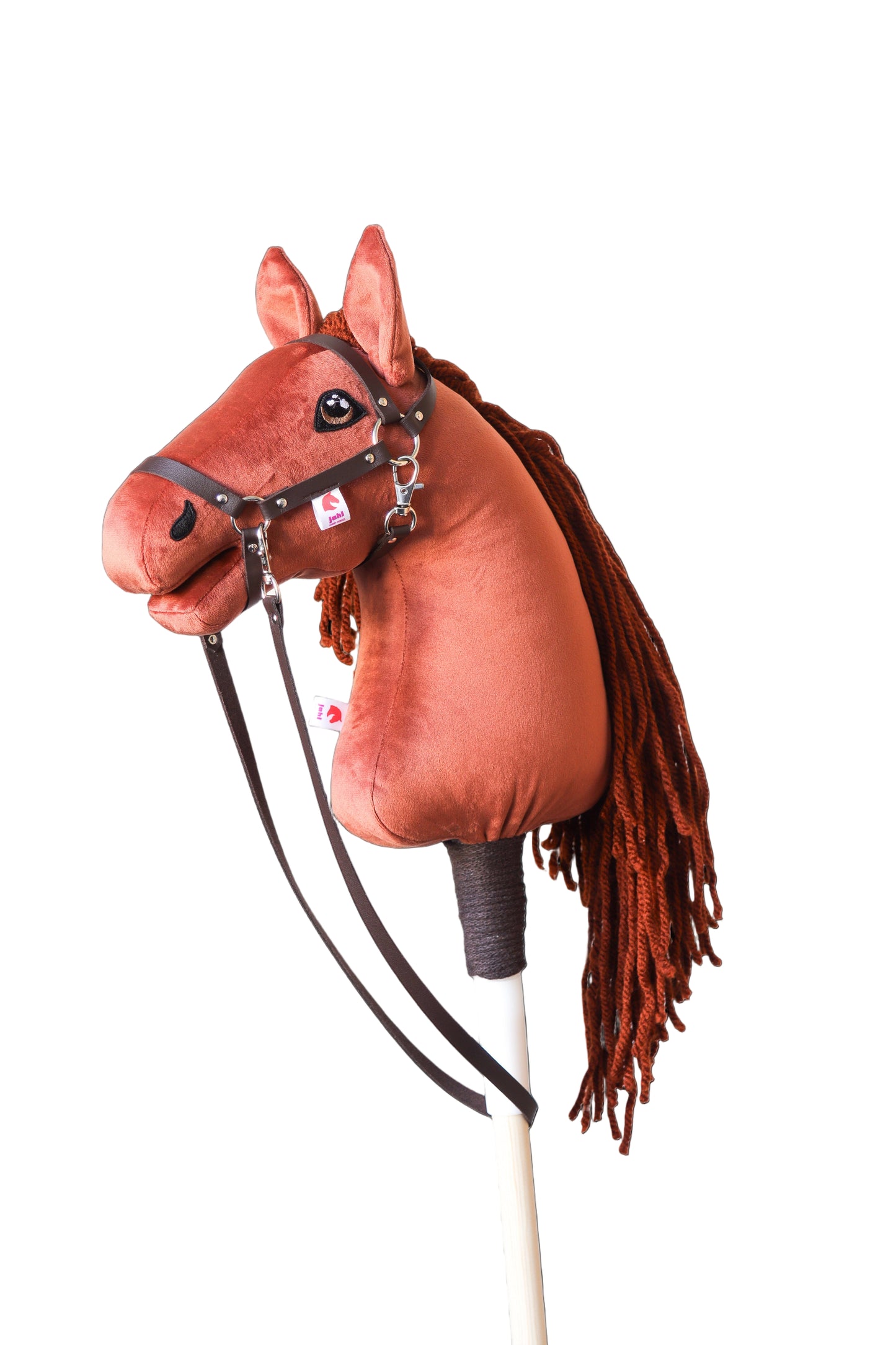 Terra - Red mane - Sport foal