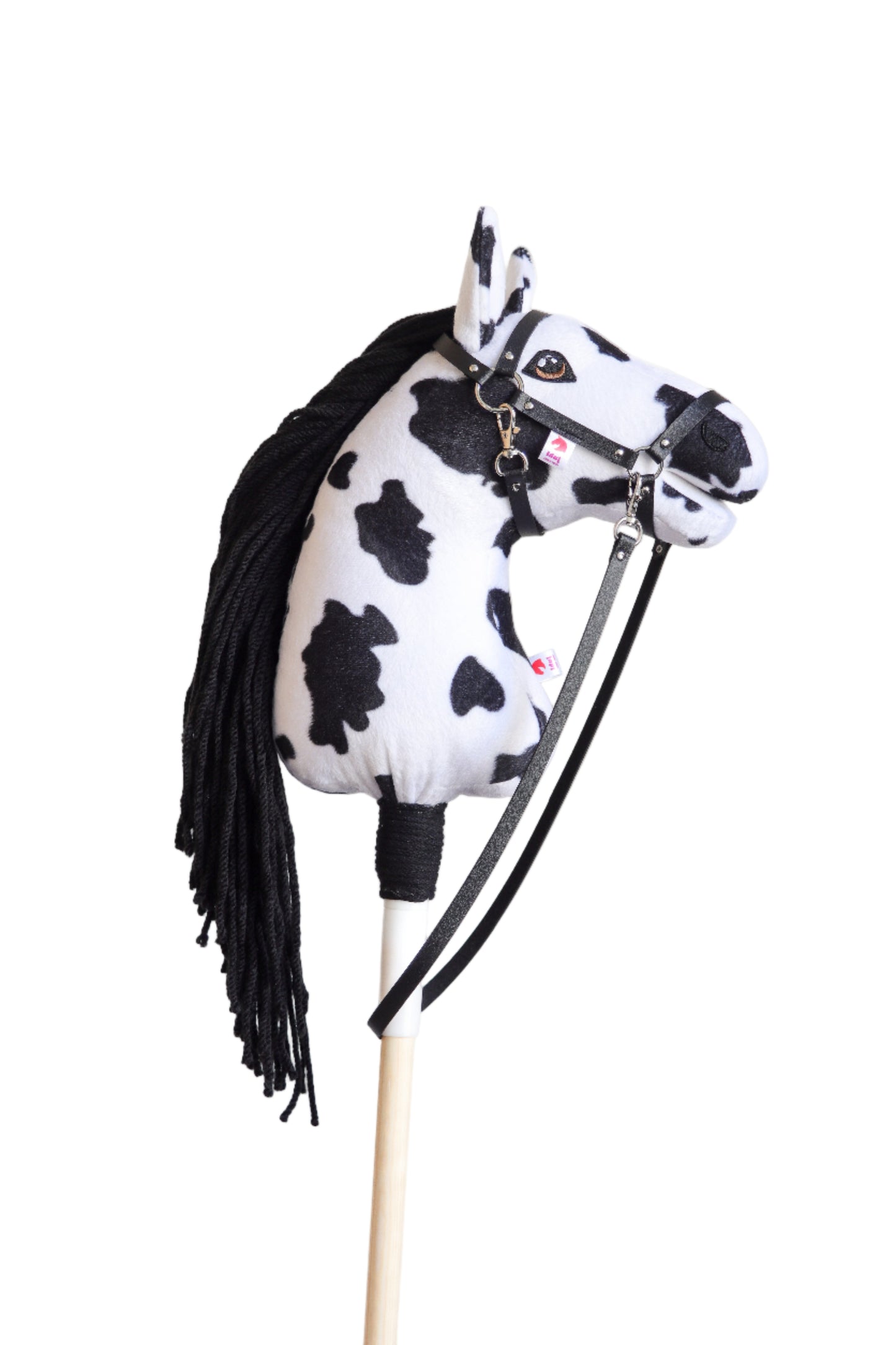 Dakota - Black mane - Sport Foal