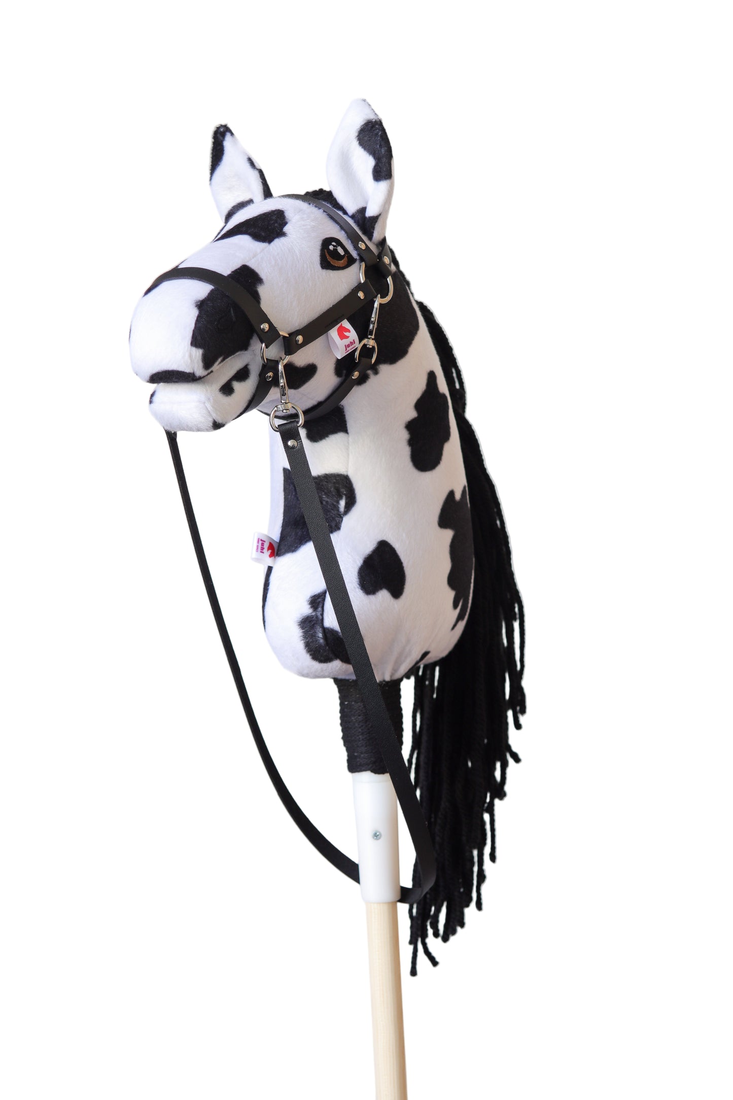 Dakota - Black mane - Sport Foal