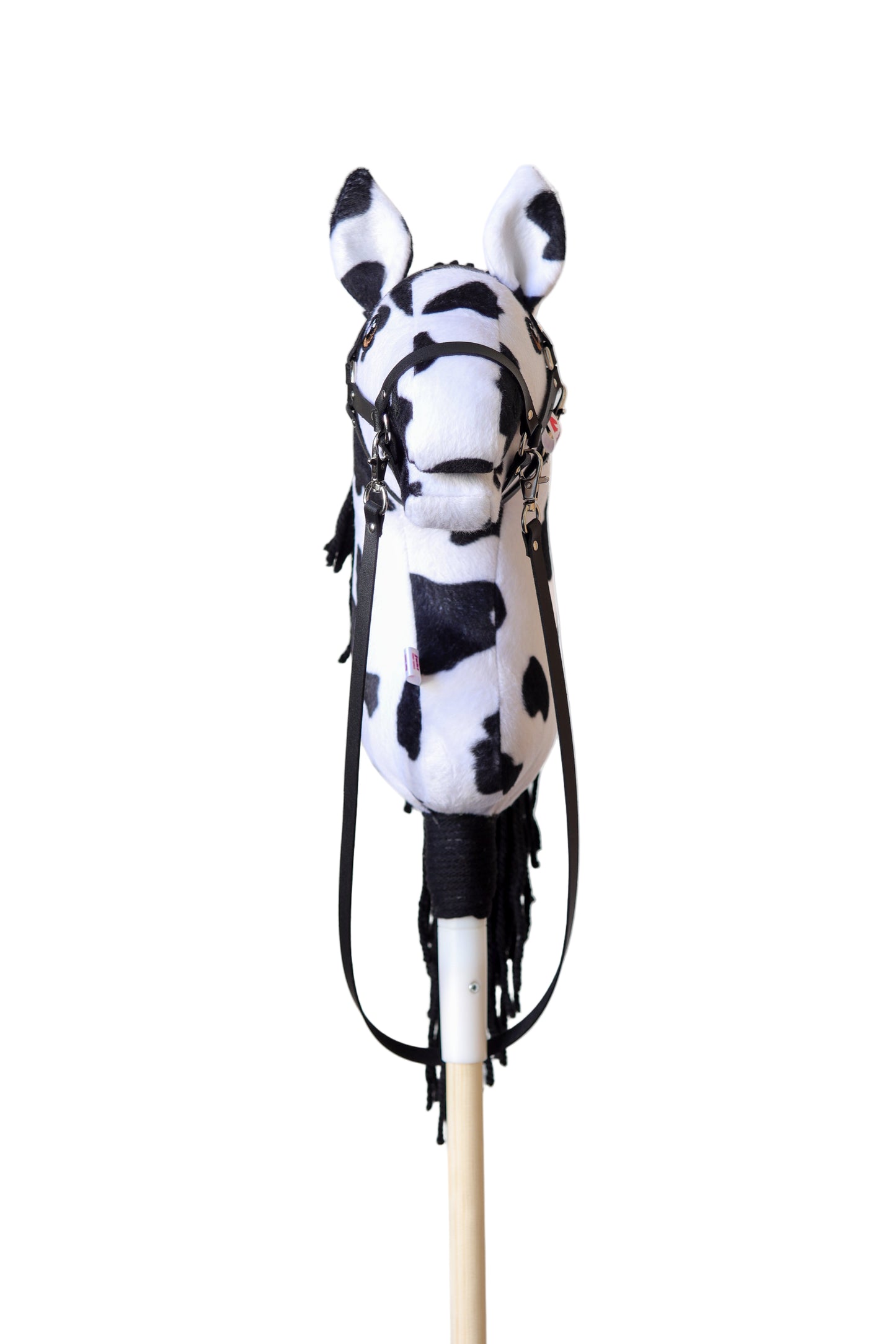 Dakota - Black mane - Sport Foal