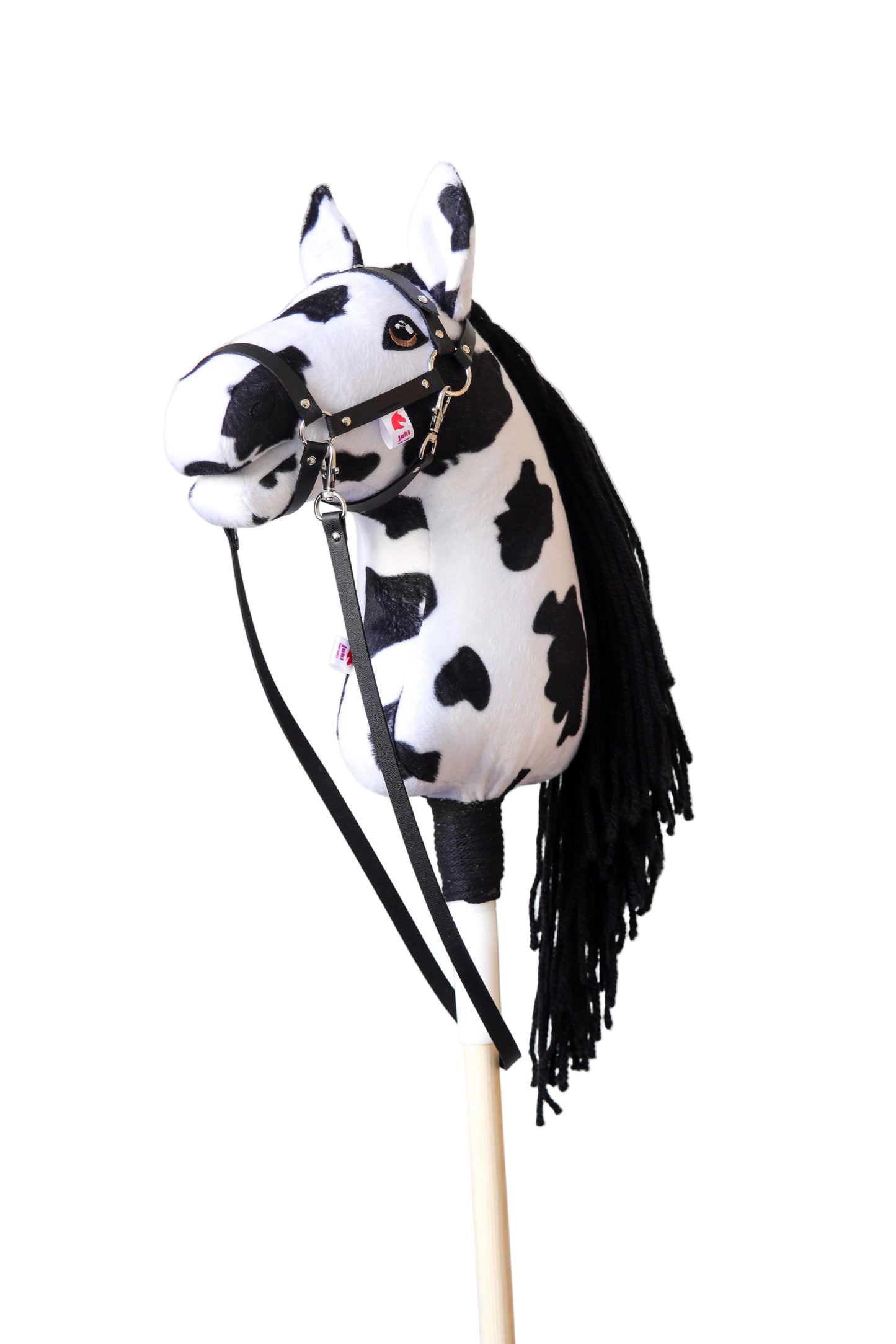 Dakota - Black mane - Sport pony