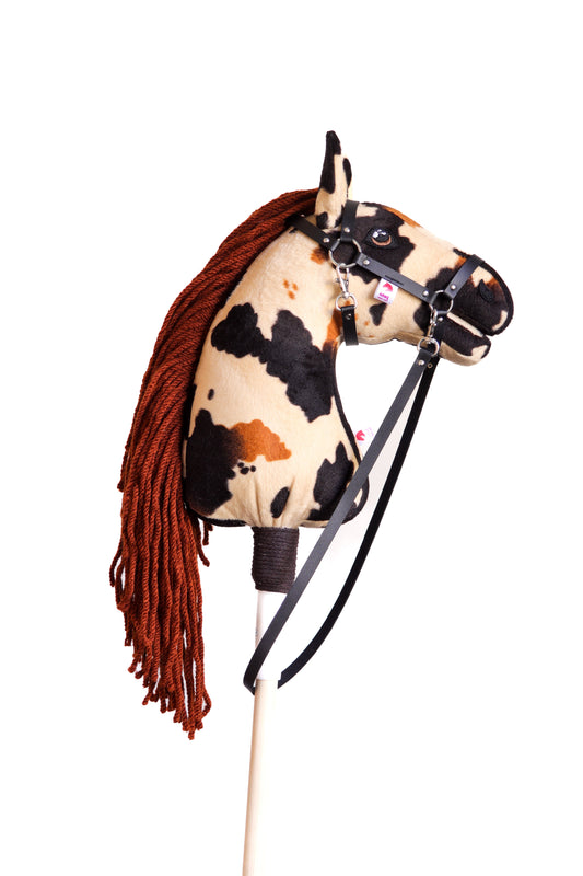 Dakota - Black mane - Foal