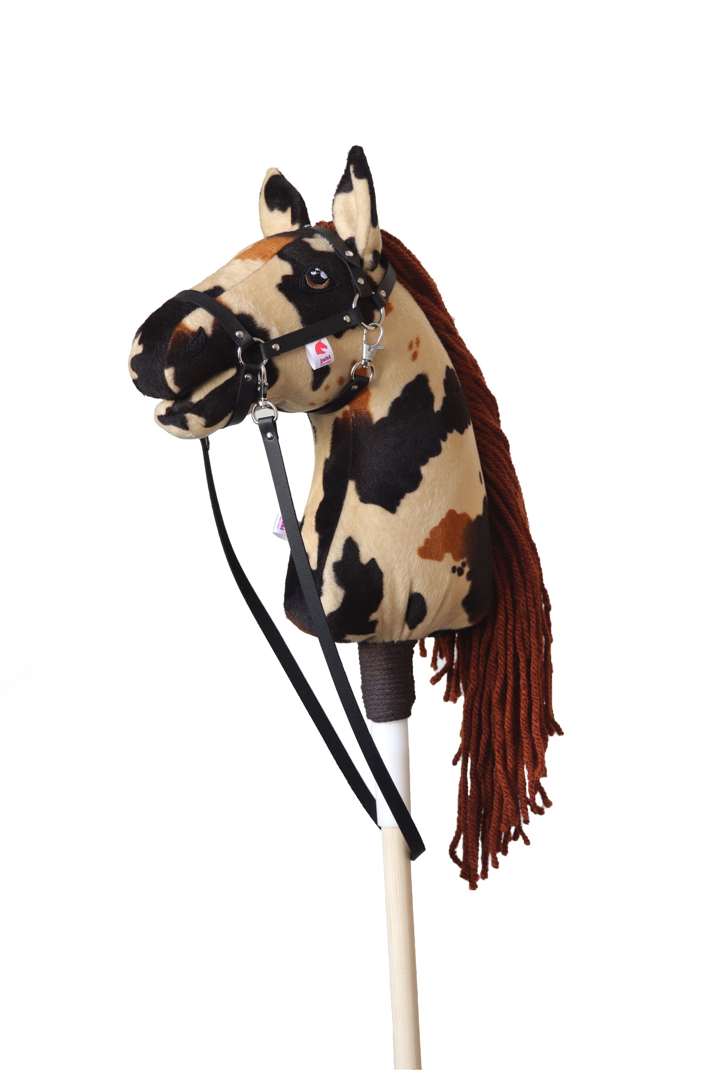 Dakota - Black mane - Foal