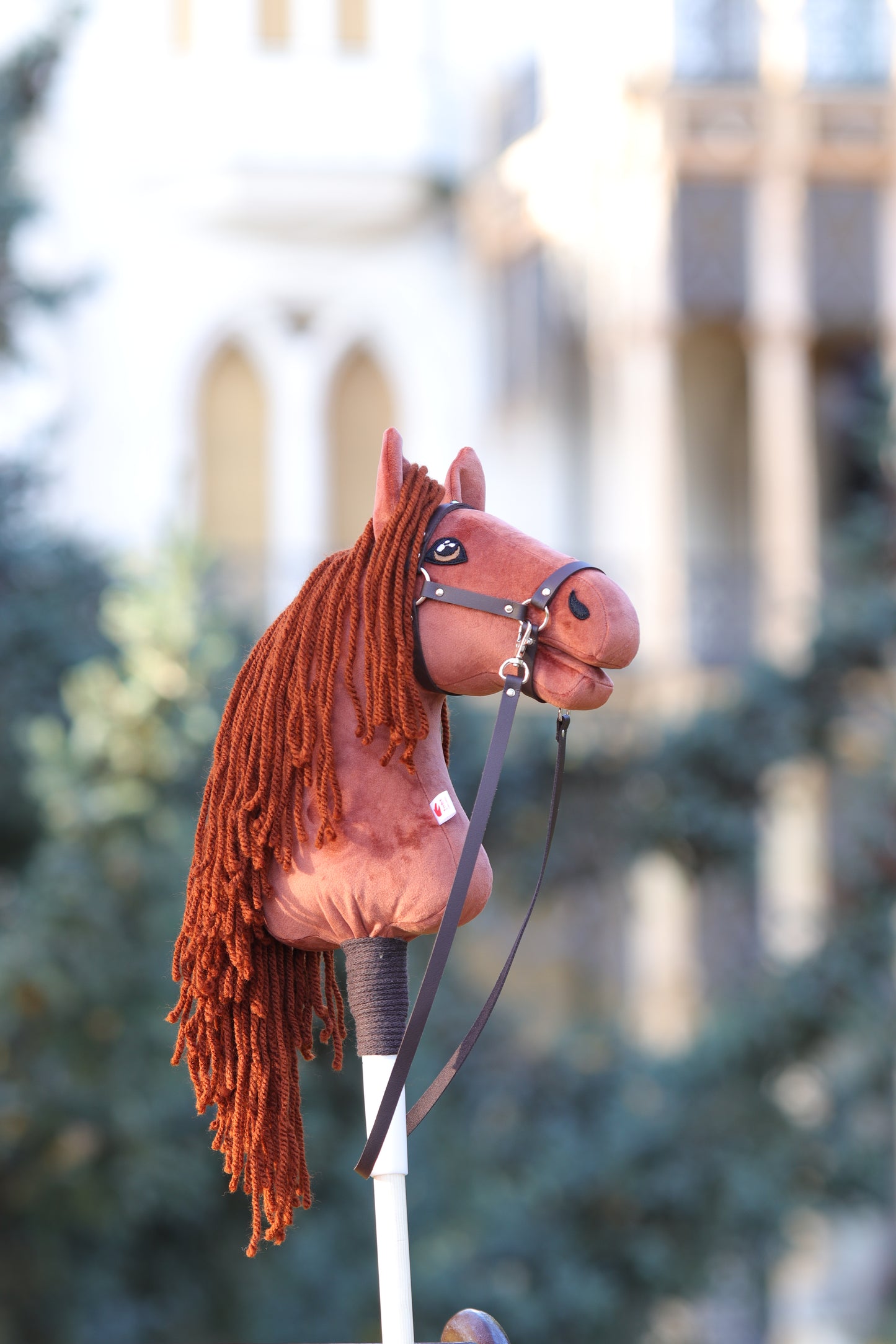 Terra - Red mane - Sport foal