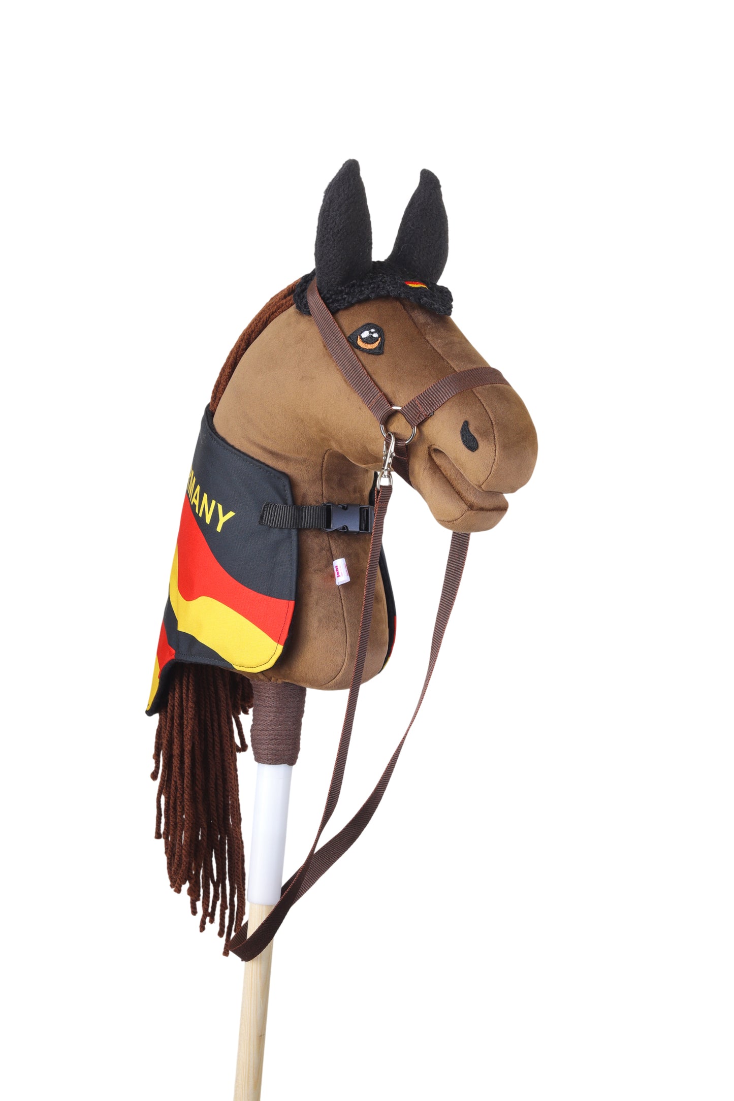 REPRESENTATIVE Set - Germany - Foal