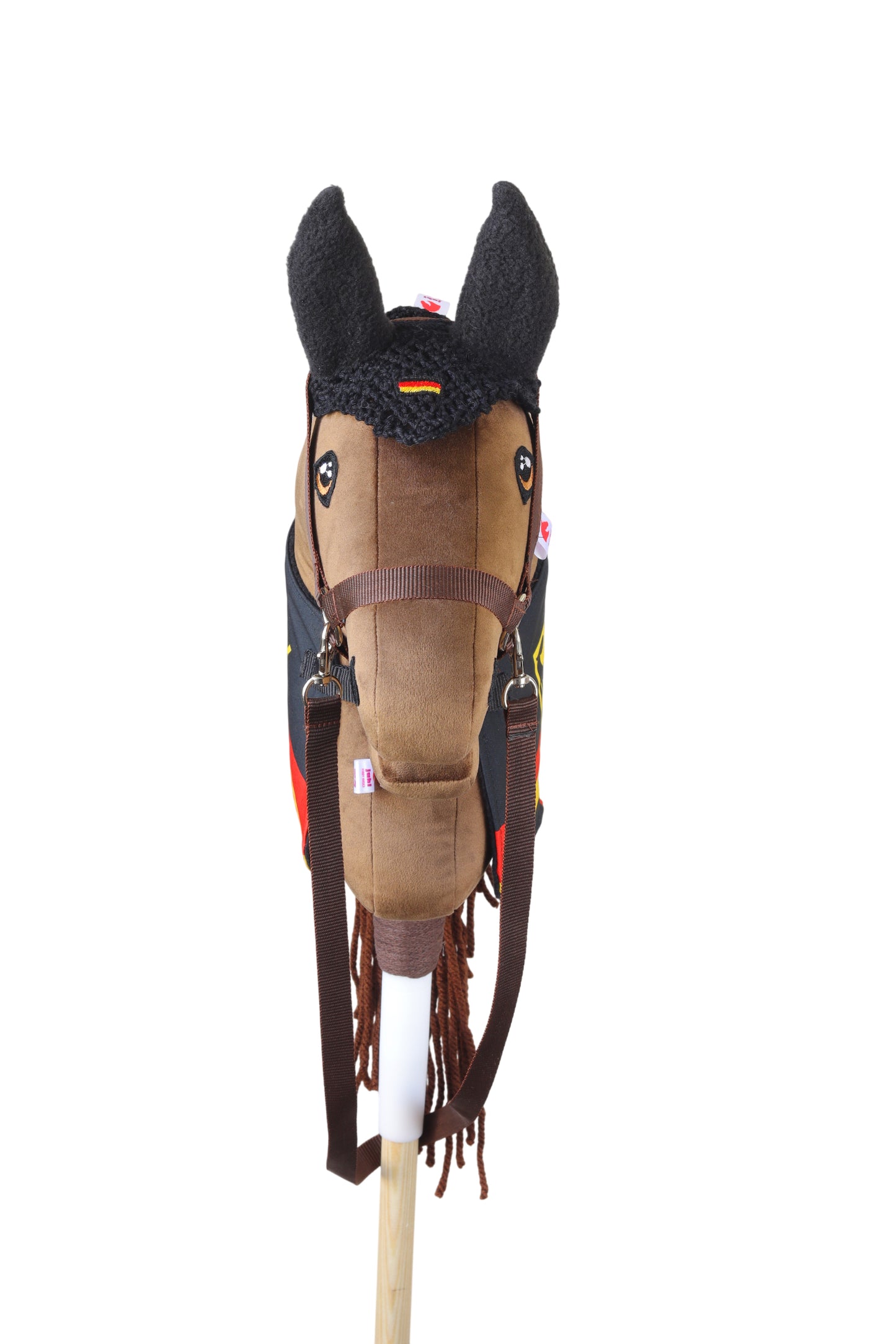 REPRESENTATIVE Set - Germany - Foal
