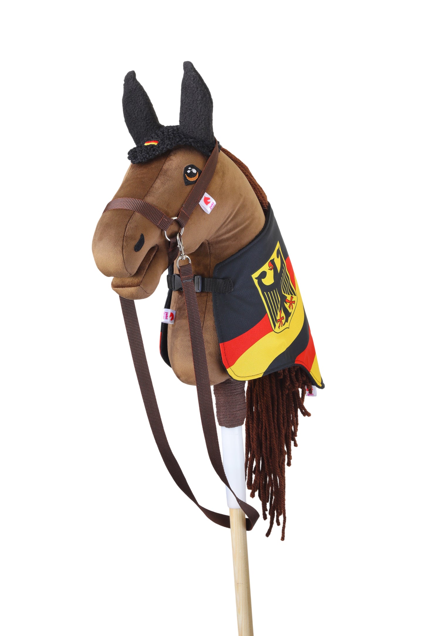 REPRESENTATIVE Set - Germany - Foal