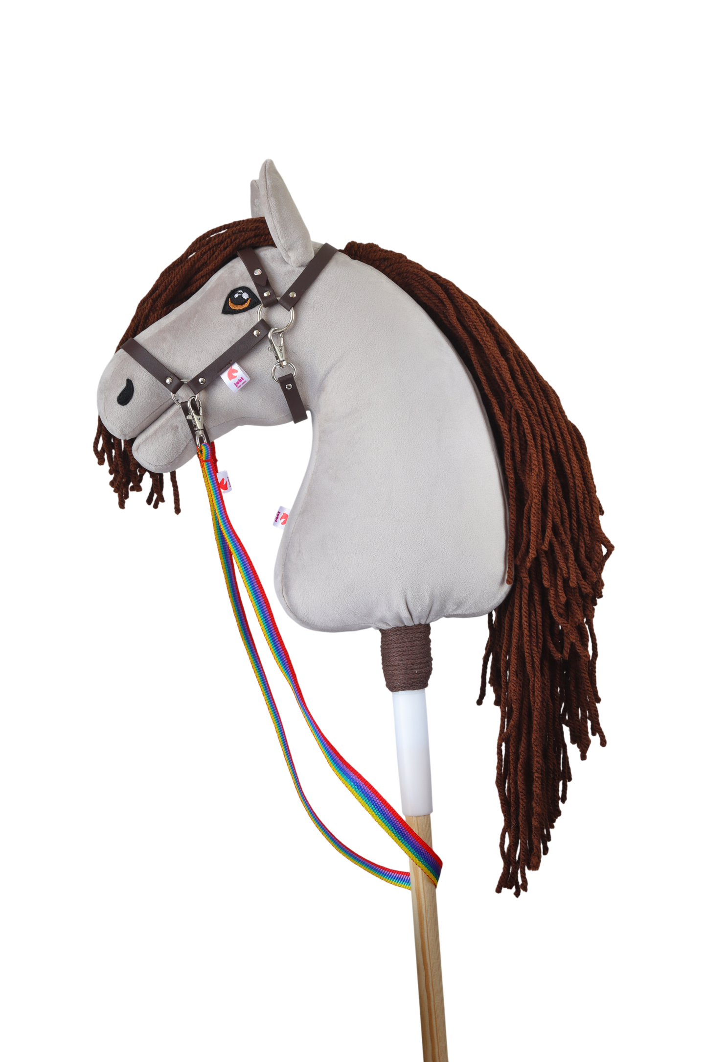 Reins - Rainbow - Foal