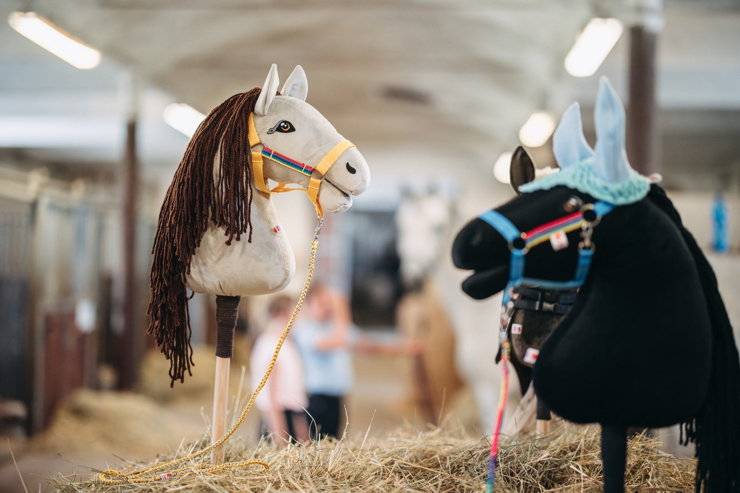 Cora - Dark brown mane - Adult horse