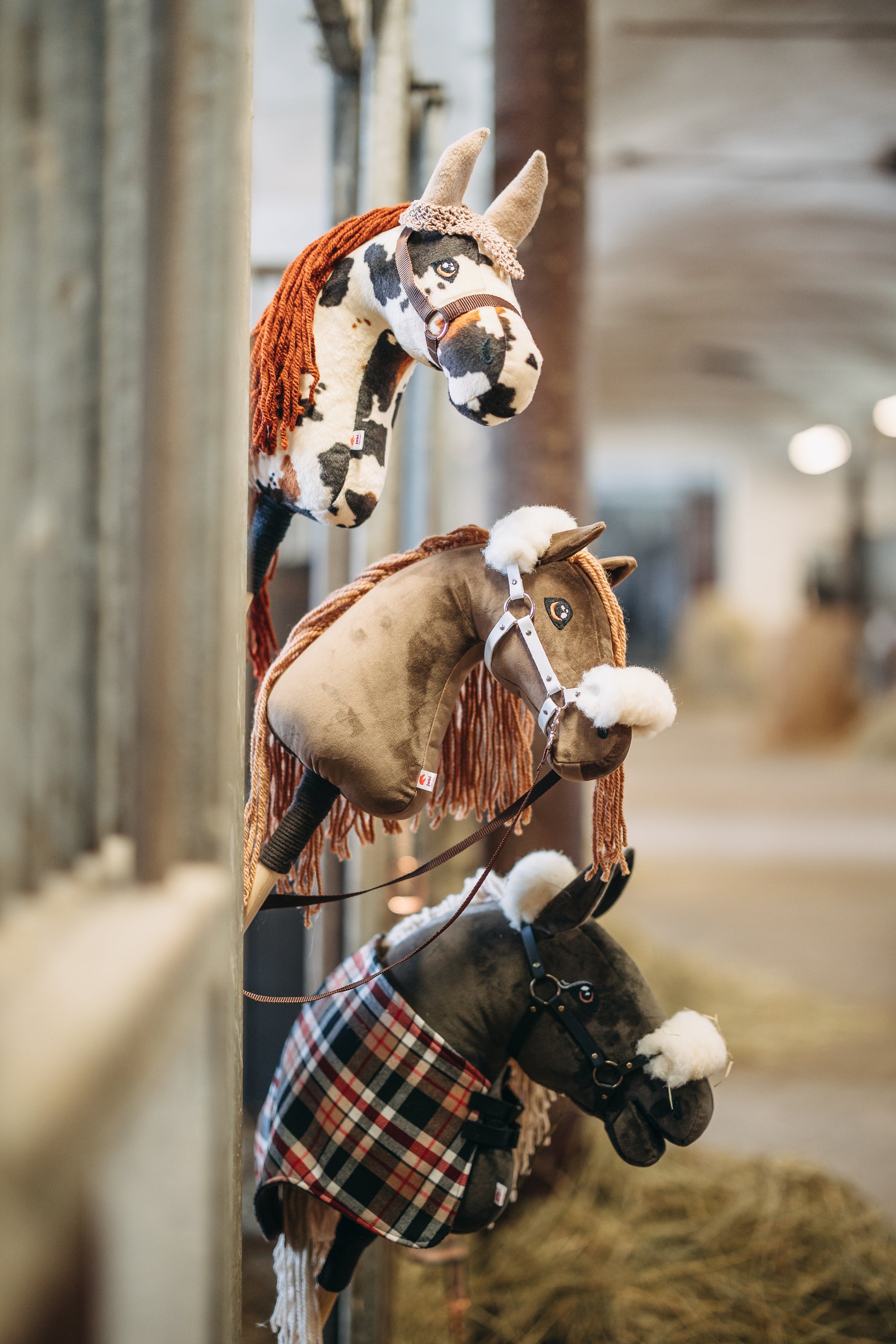 Custom Hobby Horse order best - fully customizable