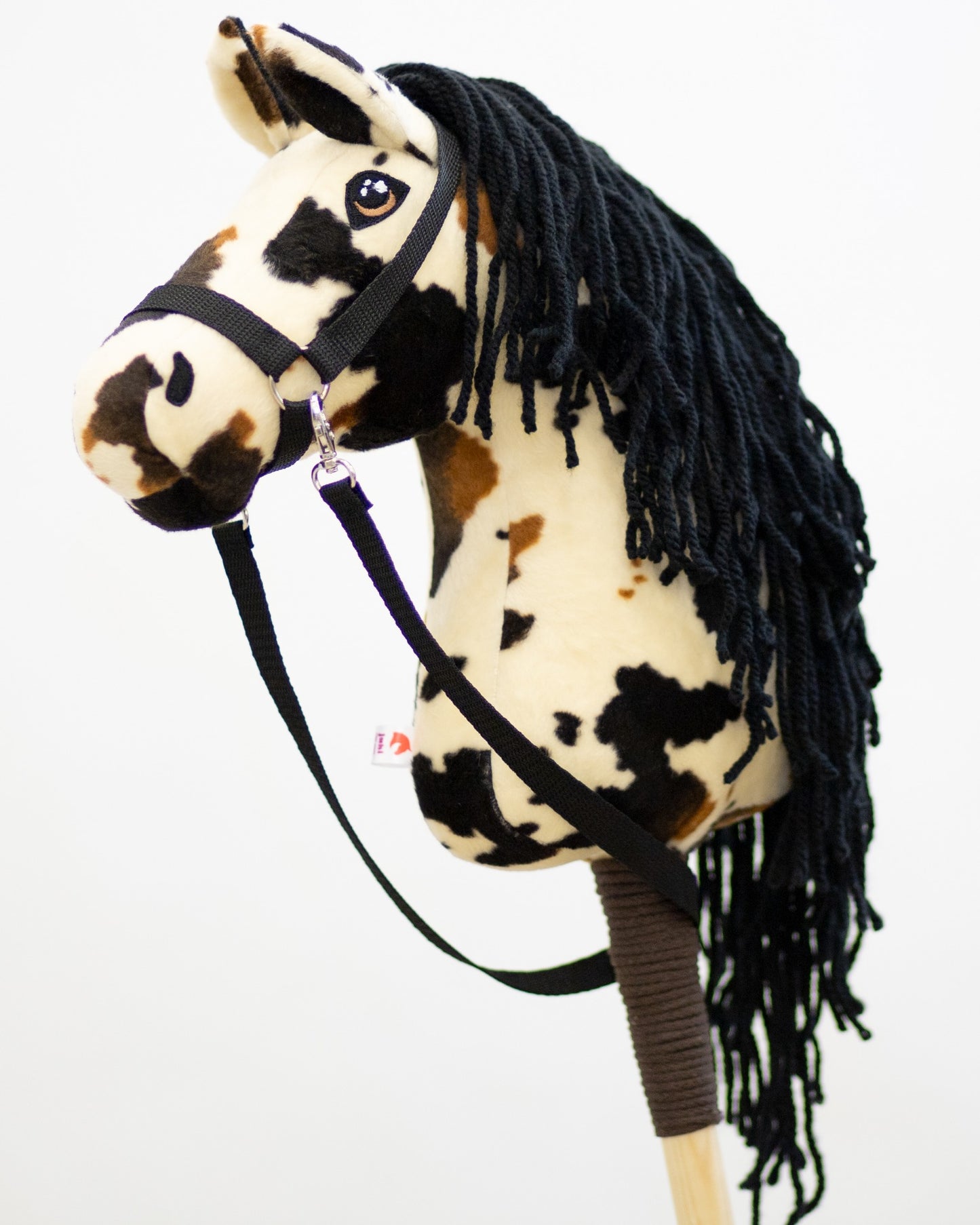 Monty - Black mane - Foal